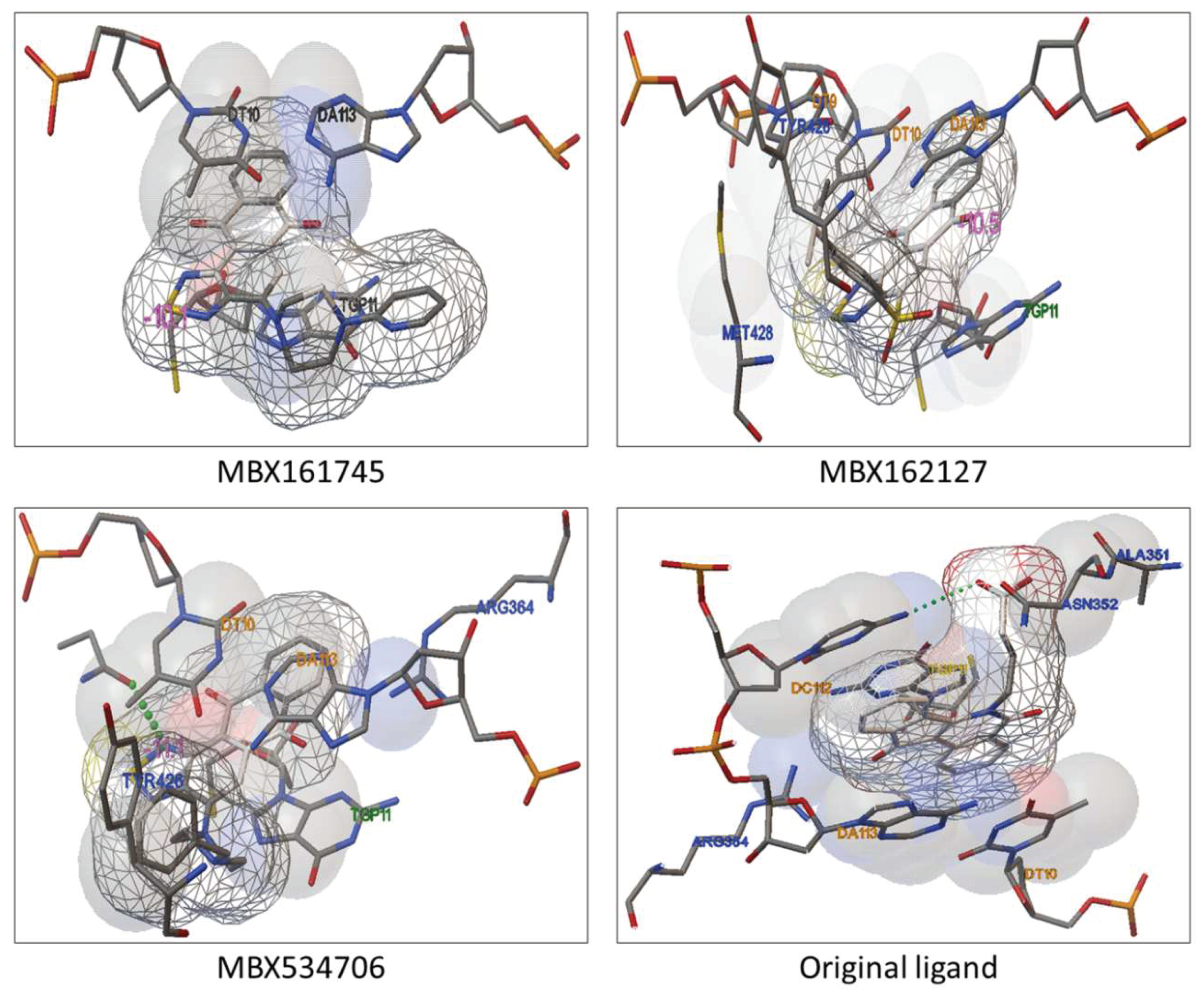 Molecules 24 02107 g008