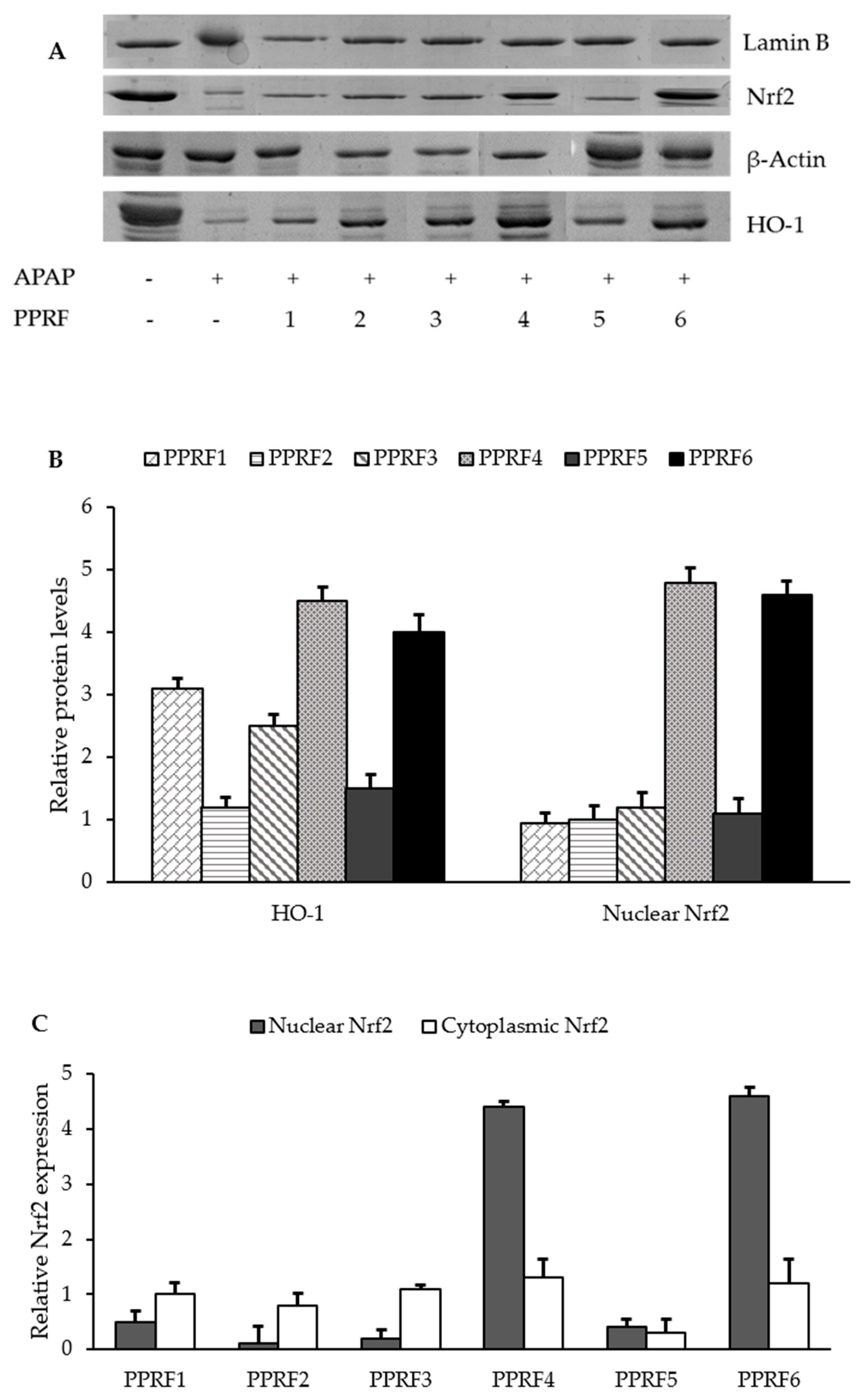 Molecules 24 02118 g007 Molecules 24 02118 g007