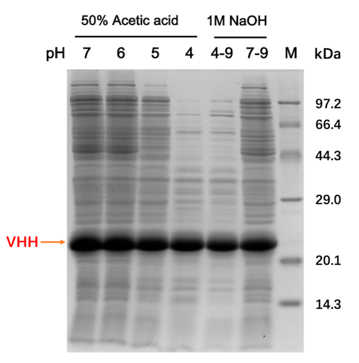 Molecules 24 02119 g001