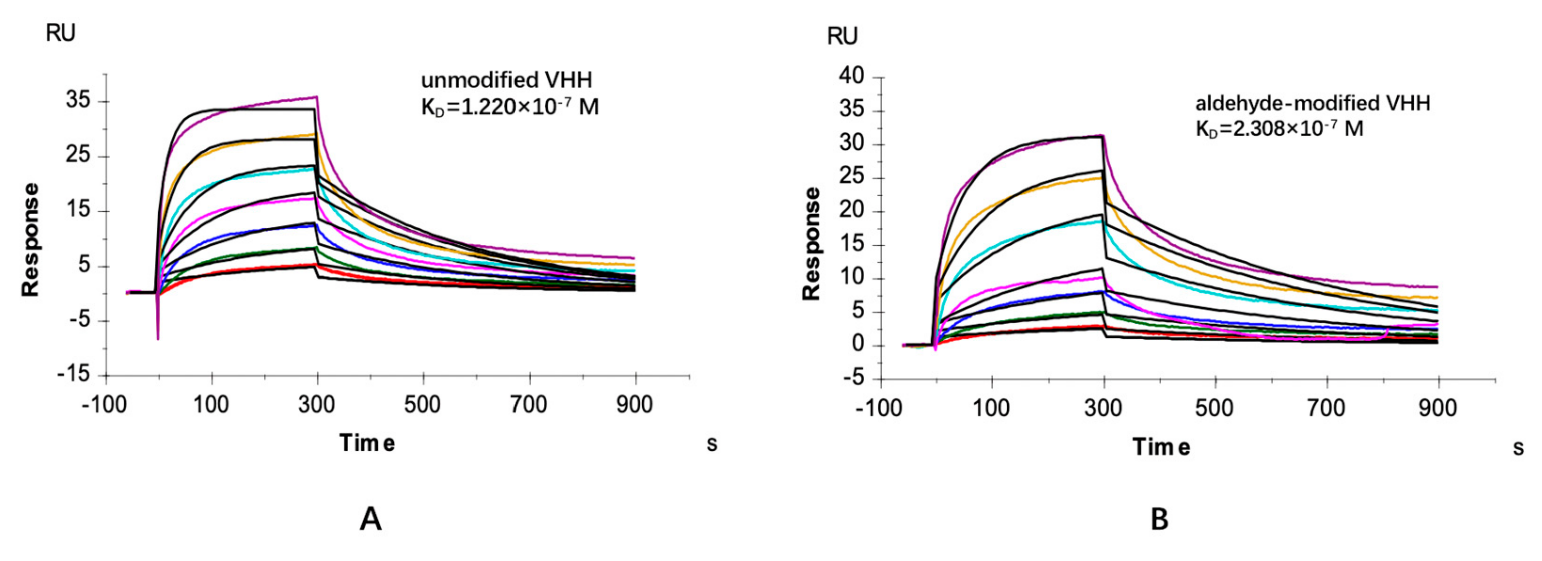 Molecules 24 02119 g004