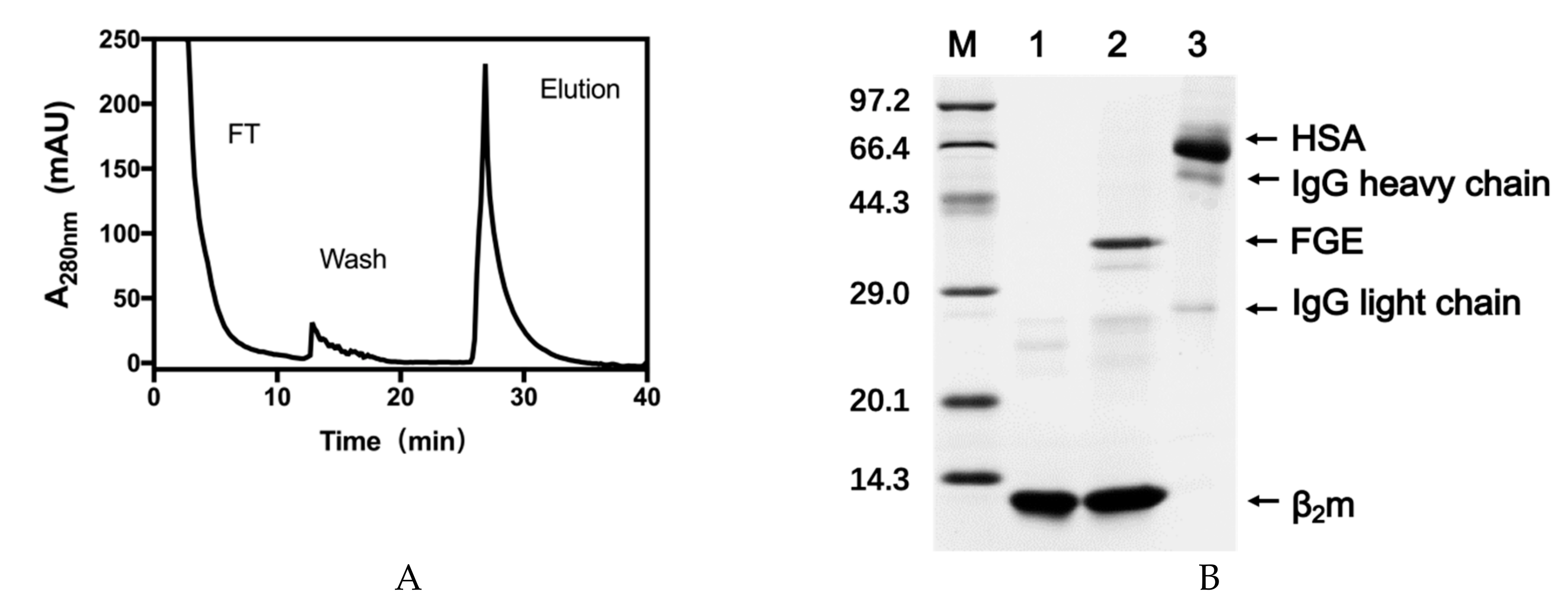 Molecules 24 02119 g006
