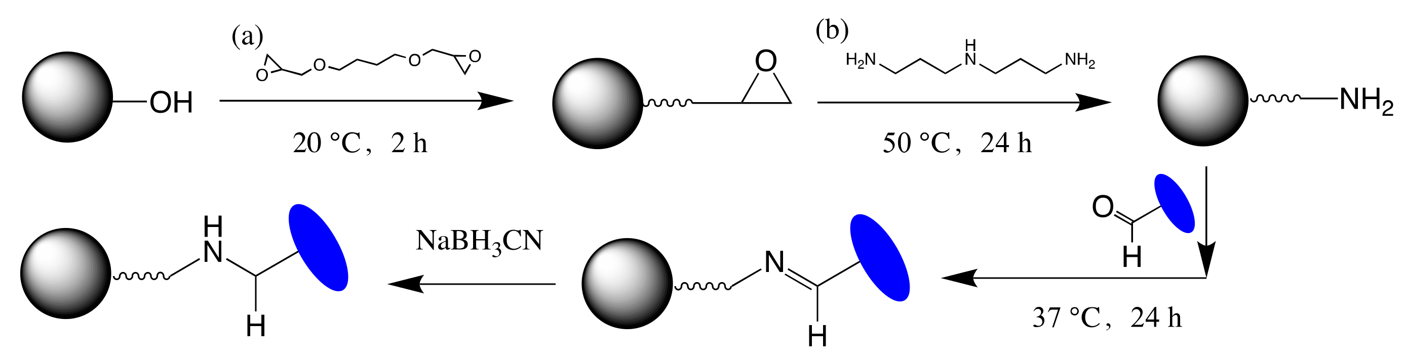 Molecules 24 02119 g009