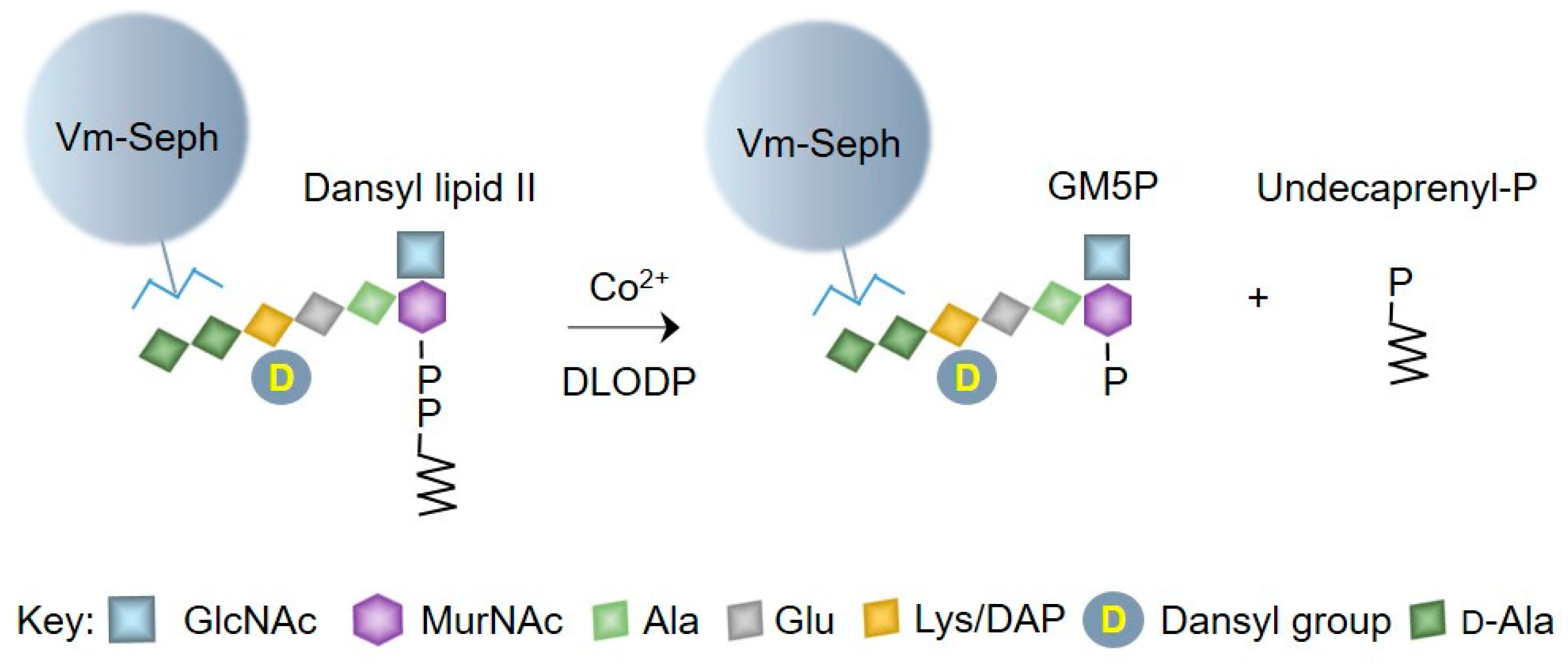 Molecules 24 02135 g002 Molecules 24 02135 g002