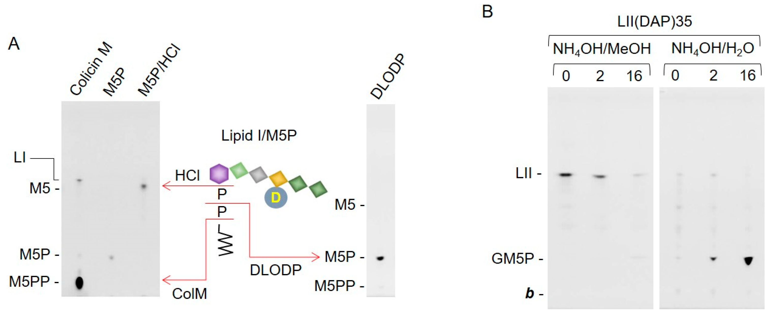 Molecules 24 02135 g007 Molecules 24 02135 g007