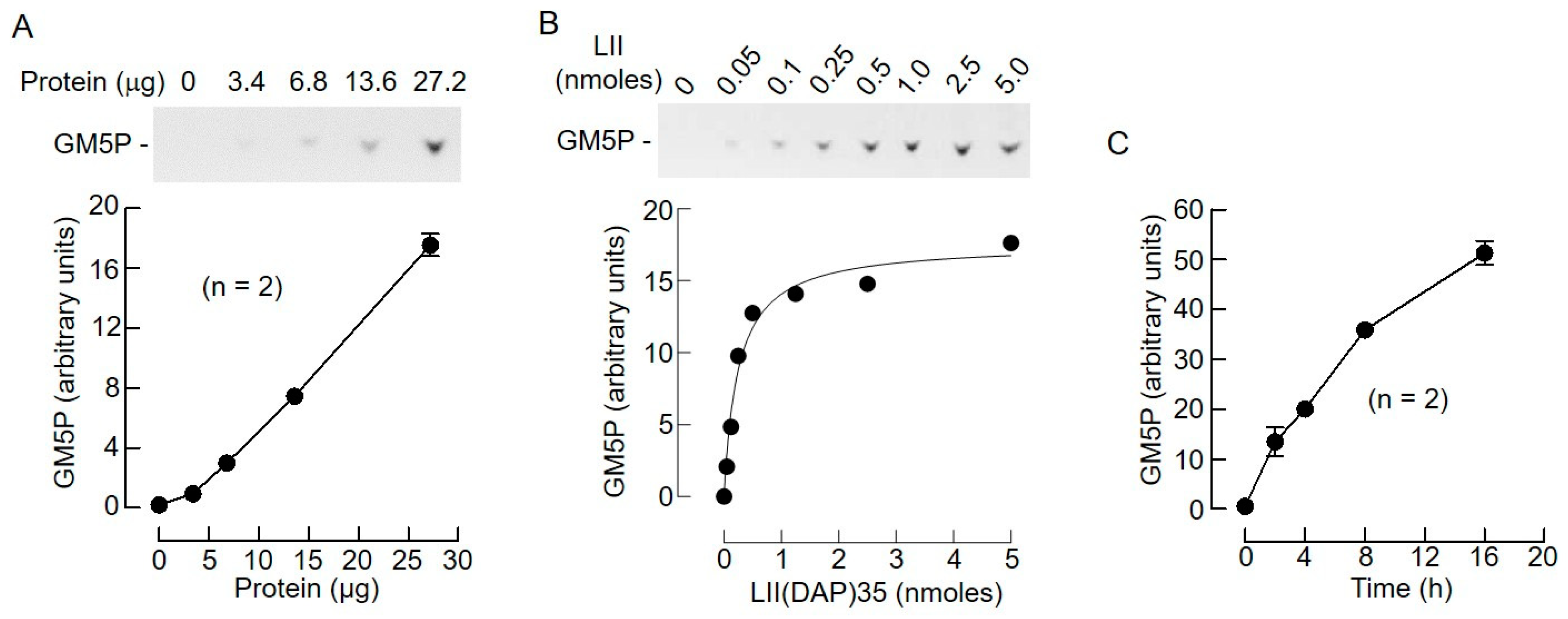 Molecules 24 02135 g008 Molecules 24 02135 g008