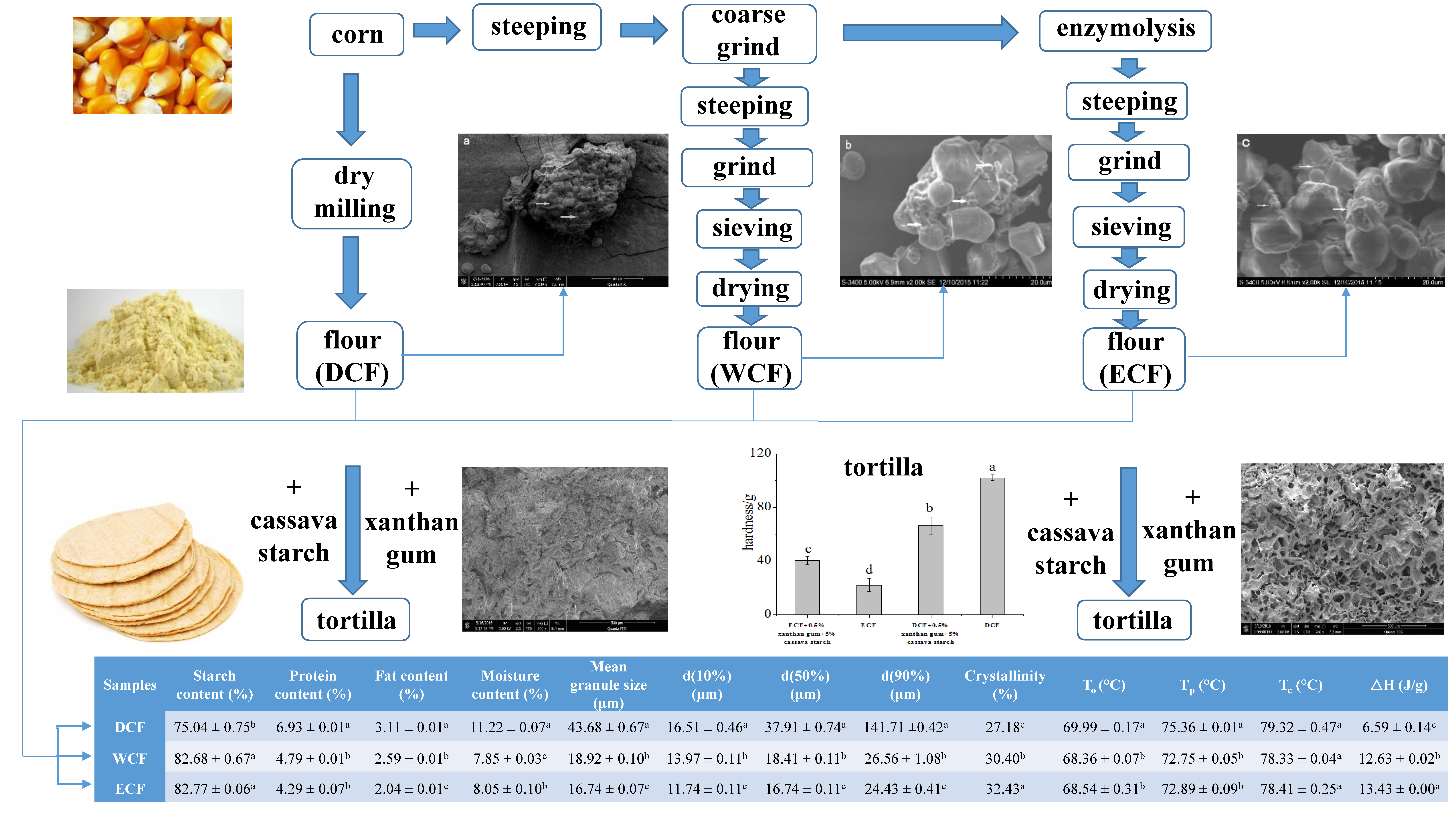 Molecules Free FullText The Properties and Tortilla Making of Corn