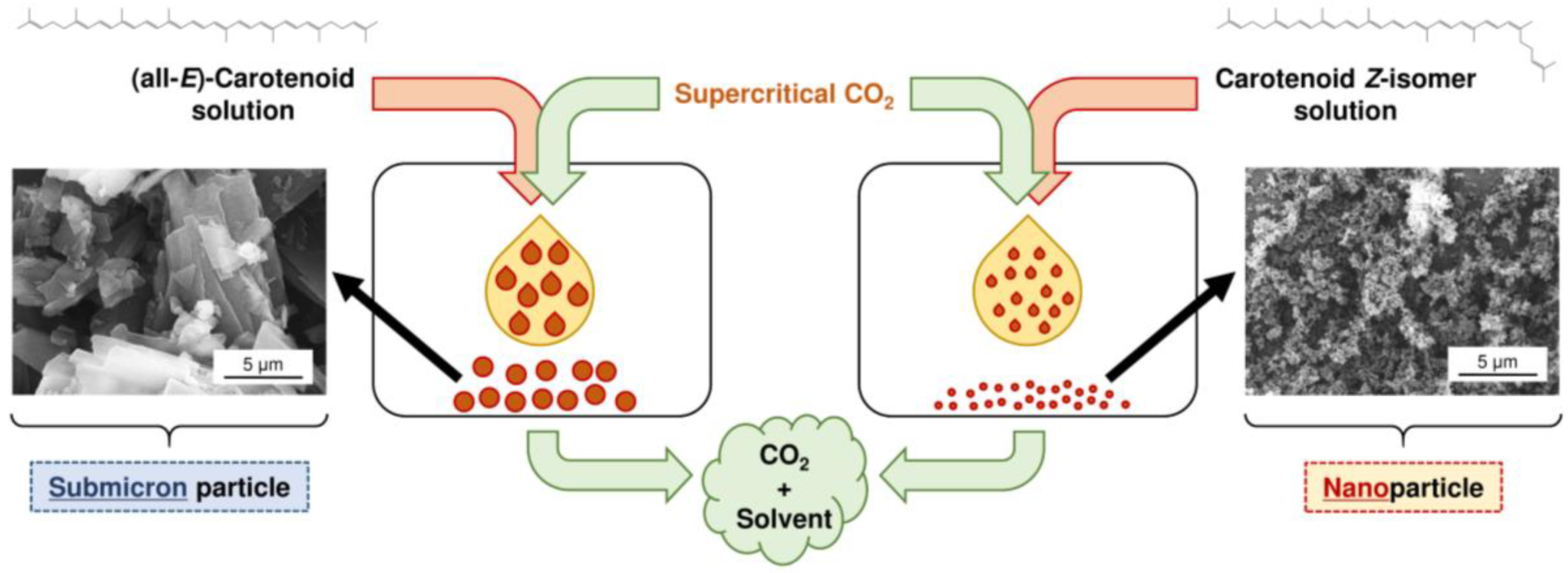 Molecules 24 02149 g003 Molecules 24 02149 g003