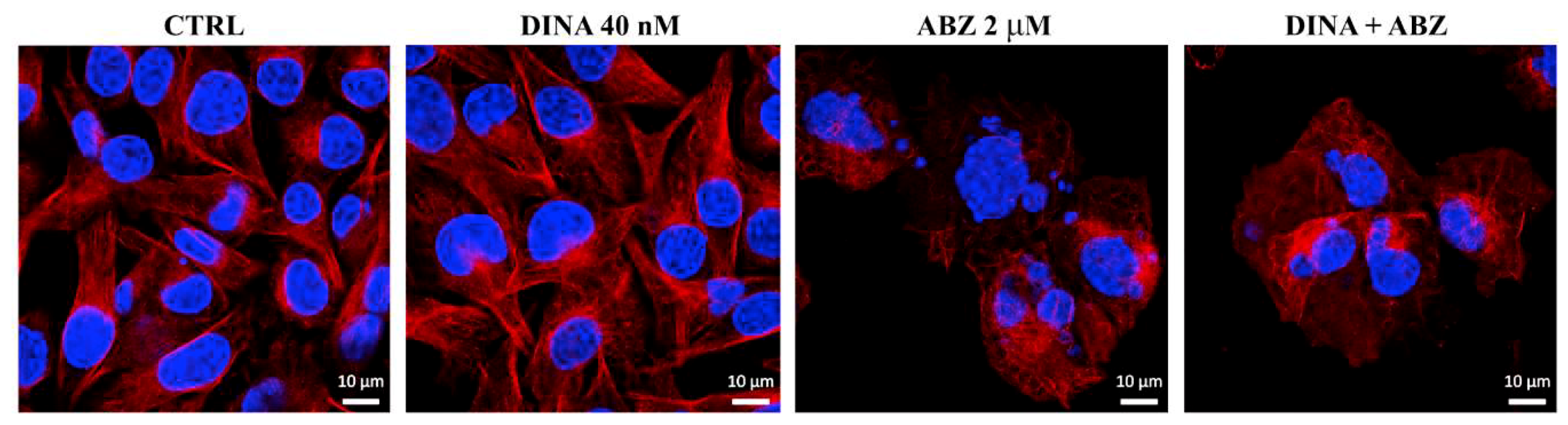 Molecules 24 02152 g004 Molecules 24 02152 g004