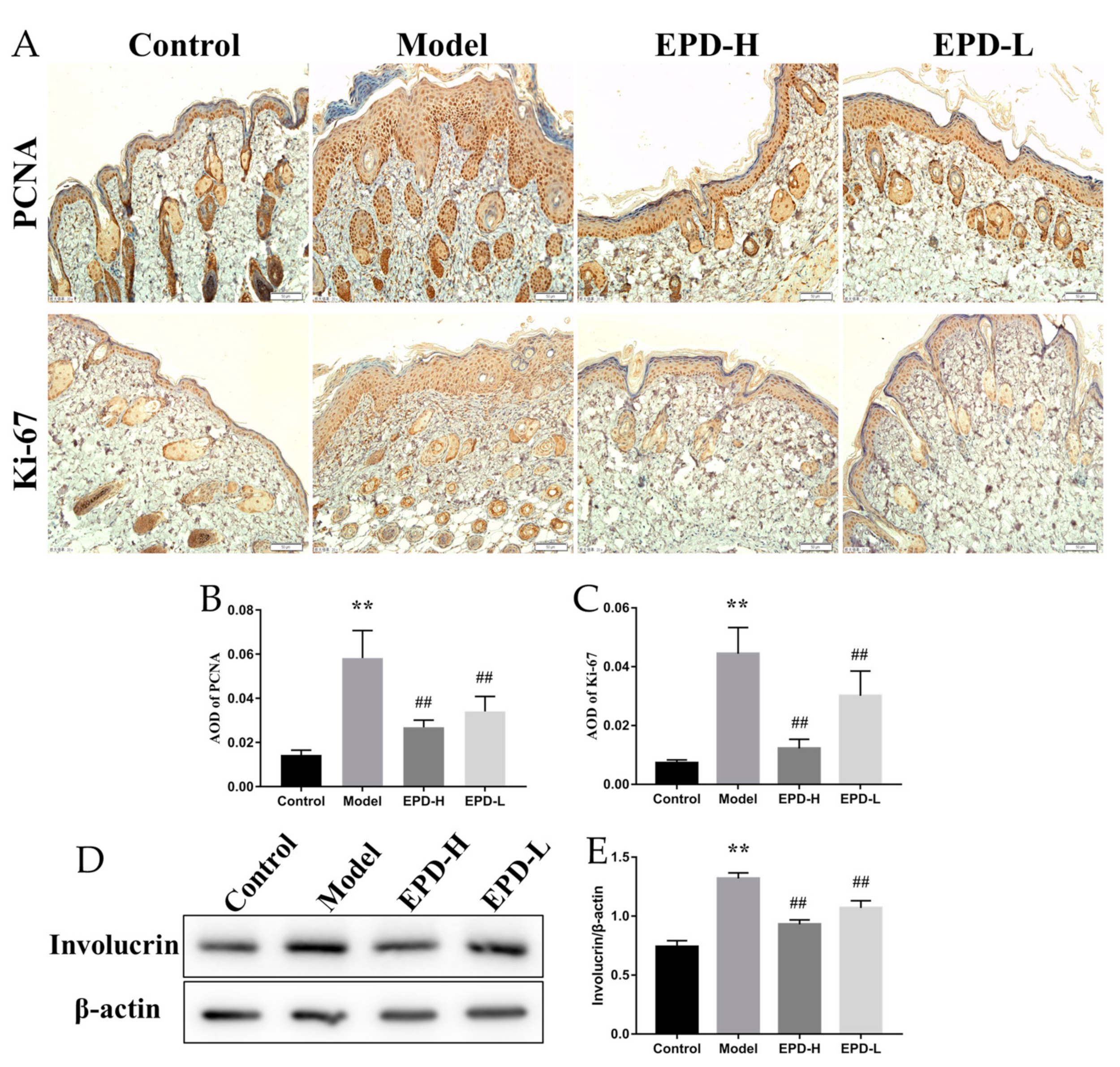 Molecules 24 02157 g002 Molecules 24 02157 g002