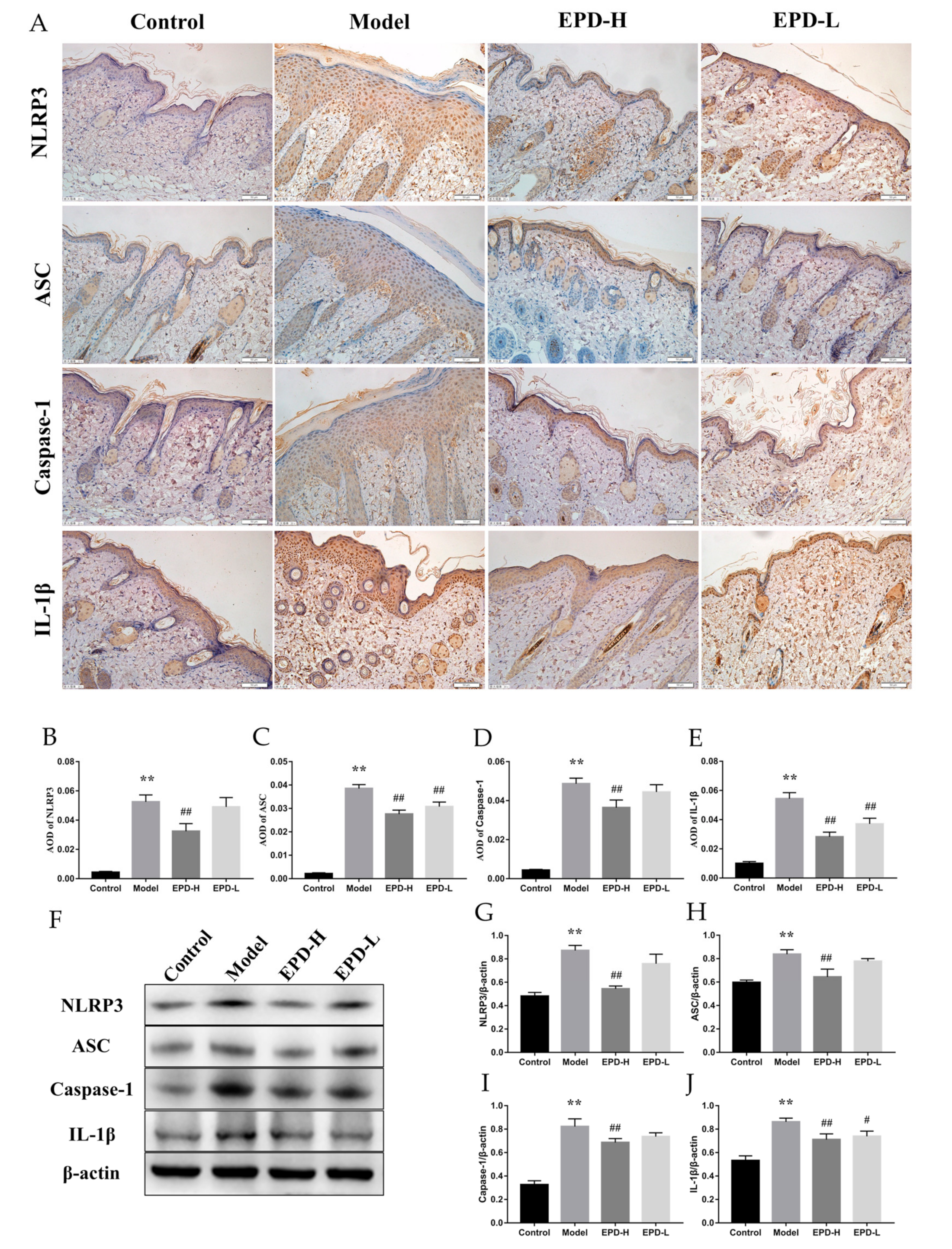 Molecules 24 02157 g006 Molecules 24 02157 g006