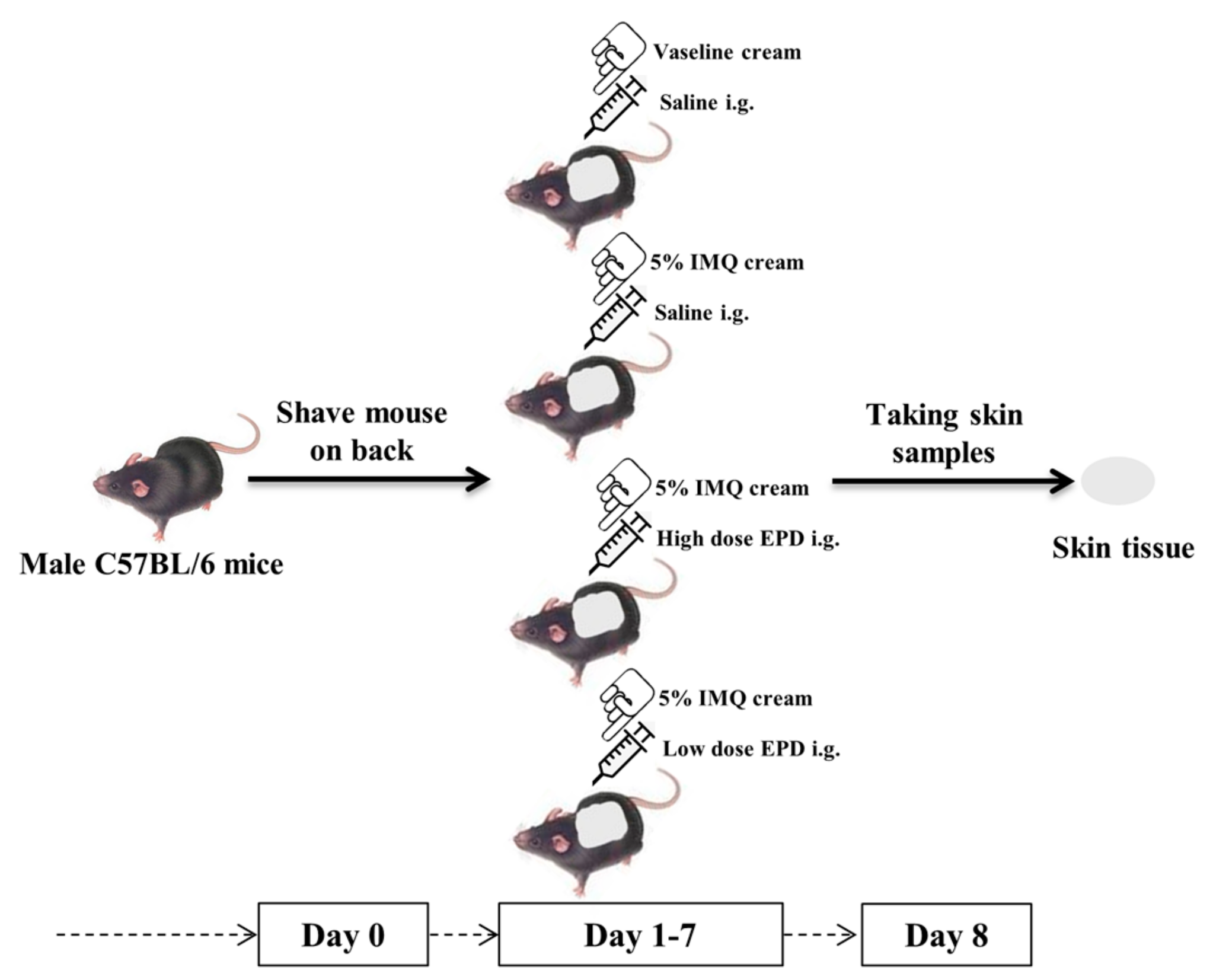Molecules 24 02157 g007 Molecules 24 02157 g007