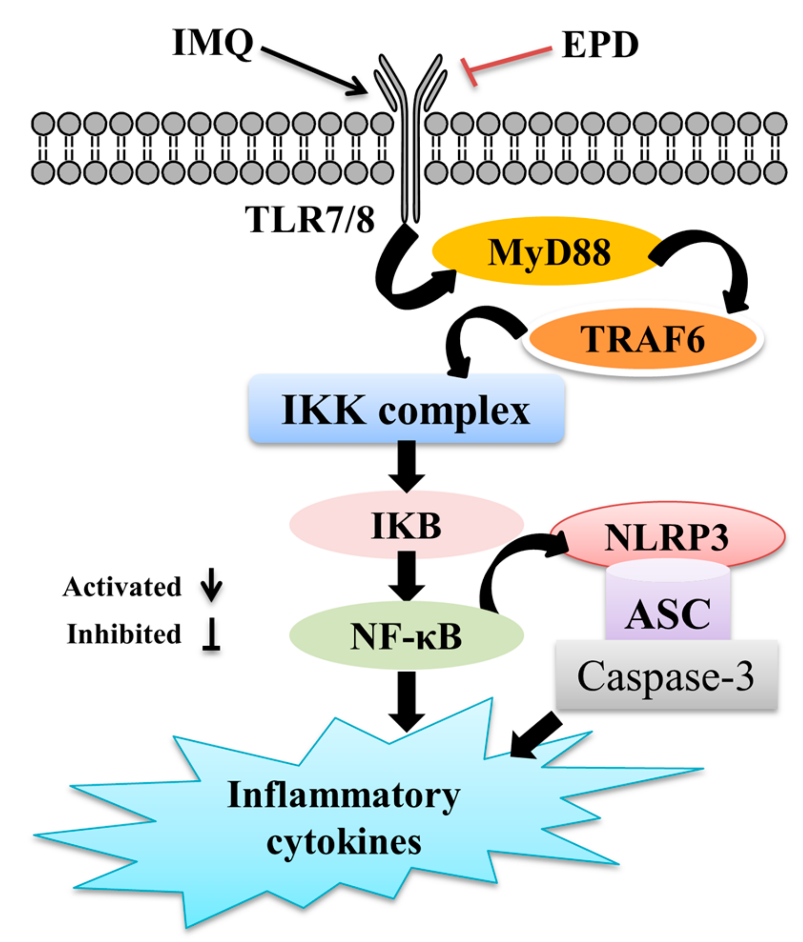 Molecules 24 02157 g008 Molecules 24 02157 g008
