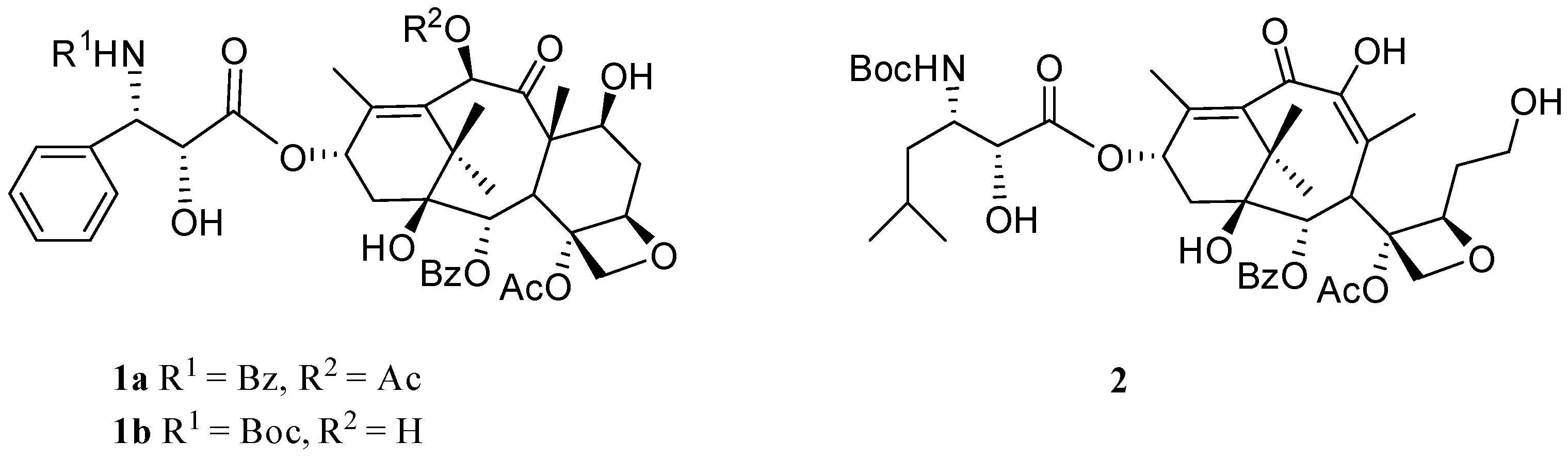 Molecules 24 02161 g001
