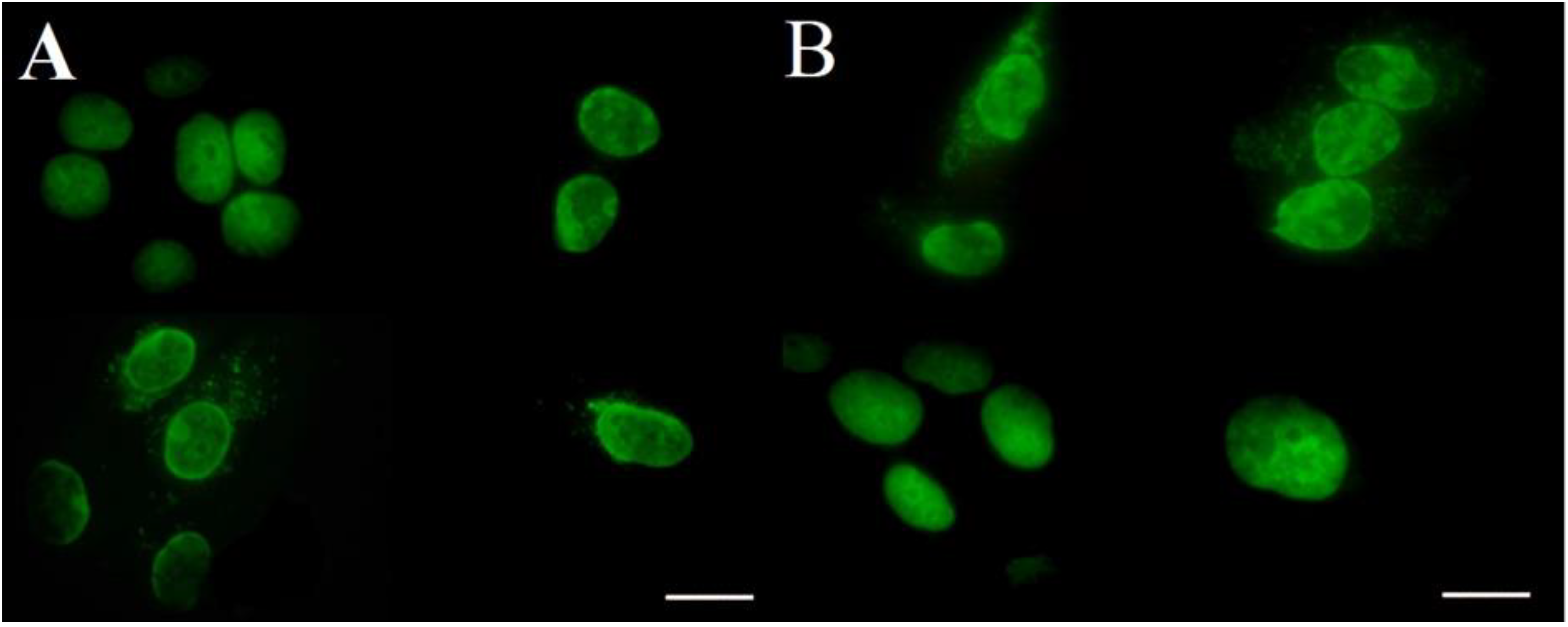 Molecules 24 02173 g007 Molecules 24 02173 g007