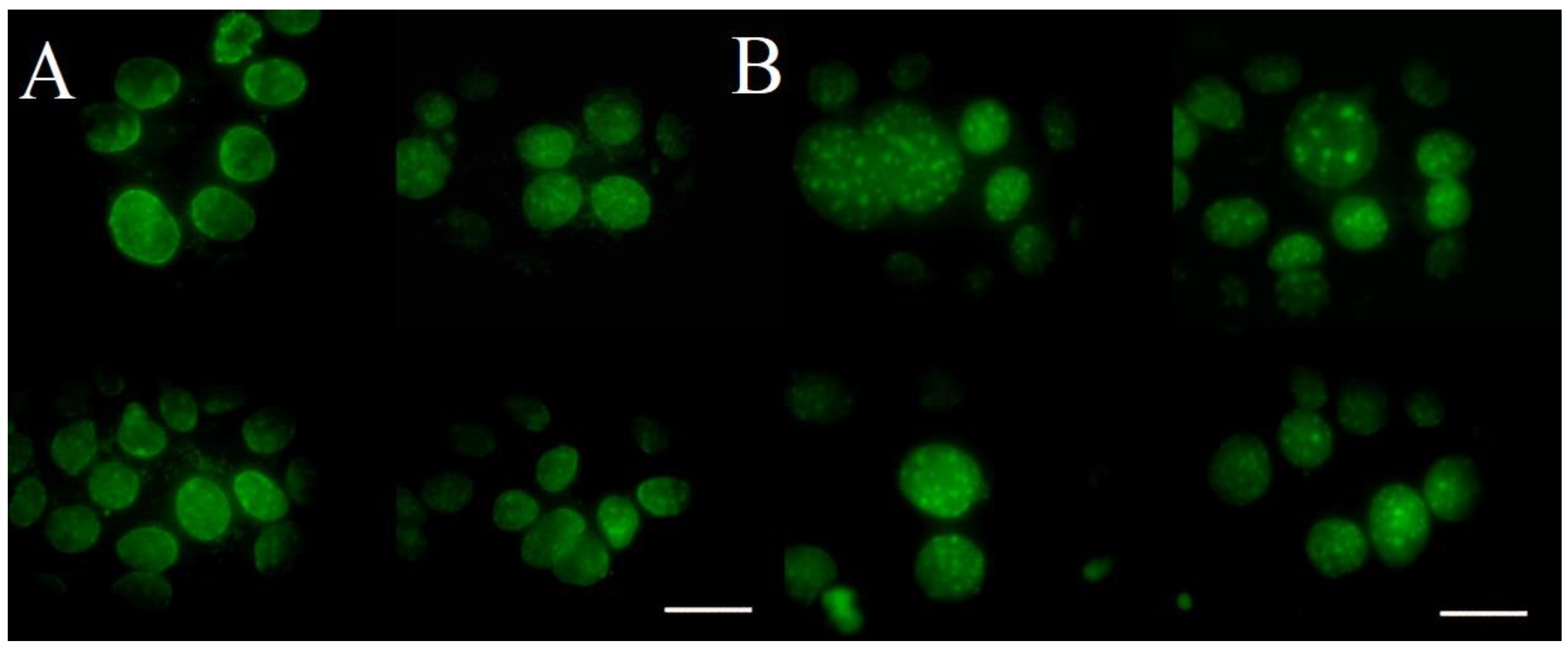 Molecules 24 02173 g008 Molecules 24 02173 g008