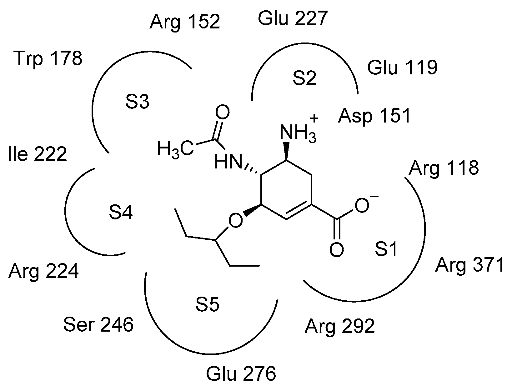 Molecules 24 02176 g001