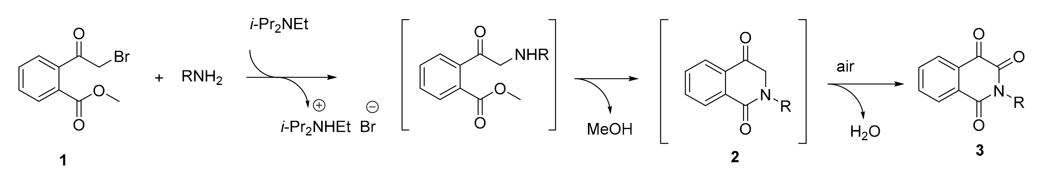 Molecules 24 02177 sch003