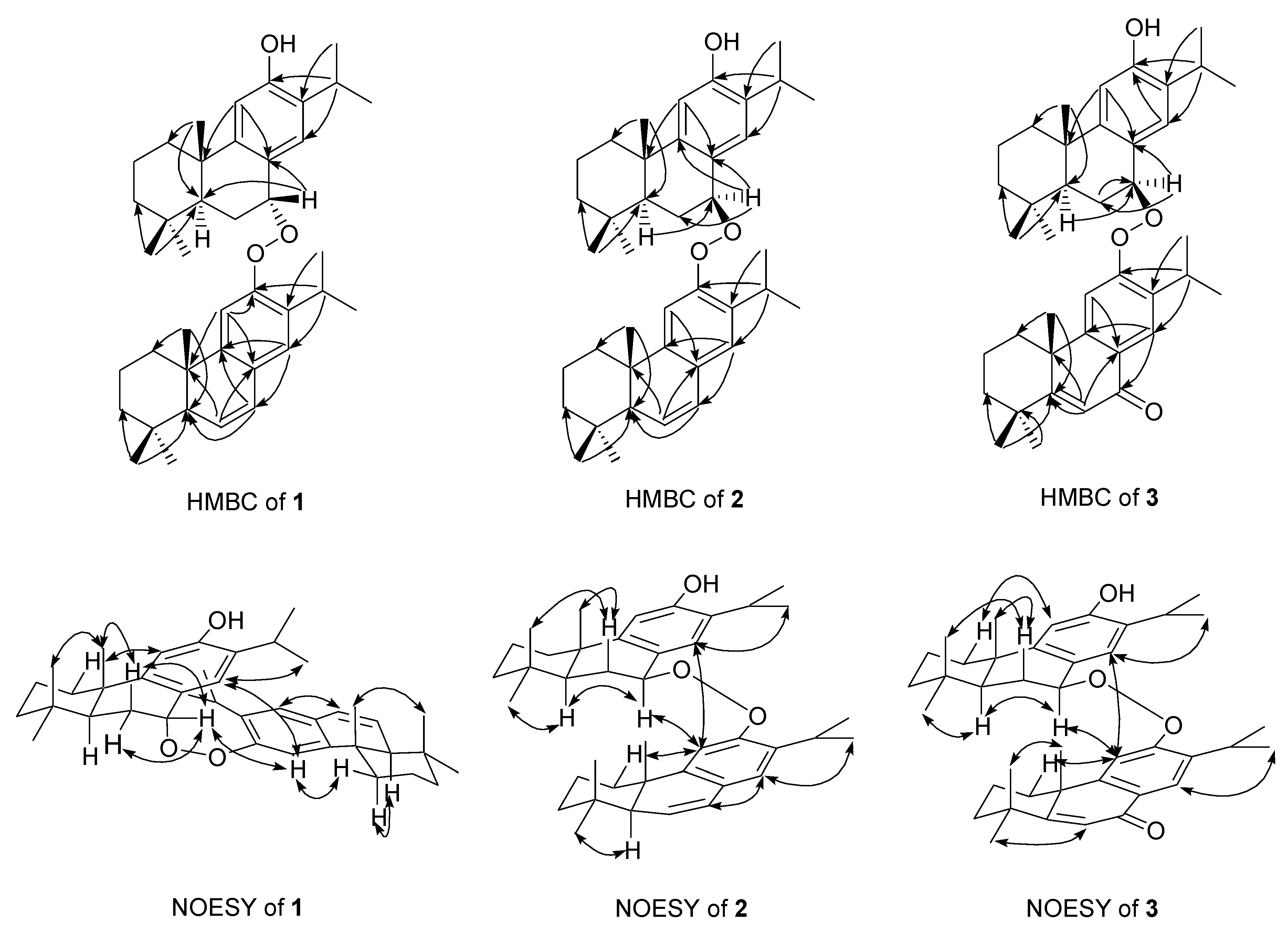 Molecules 24 02178 g003