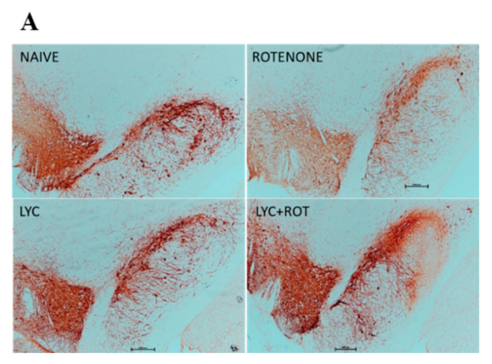Molecules 24 02182 g008a Molecules 24 02182 g008a