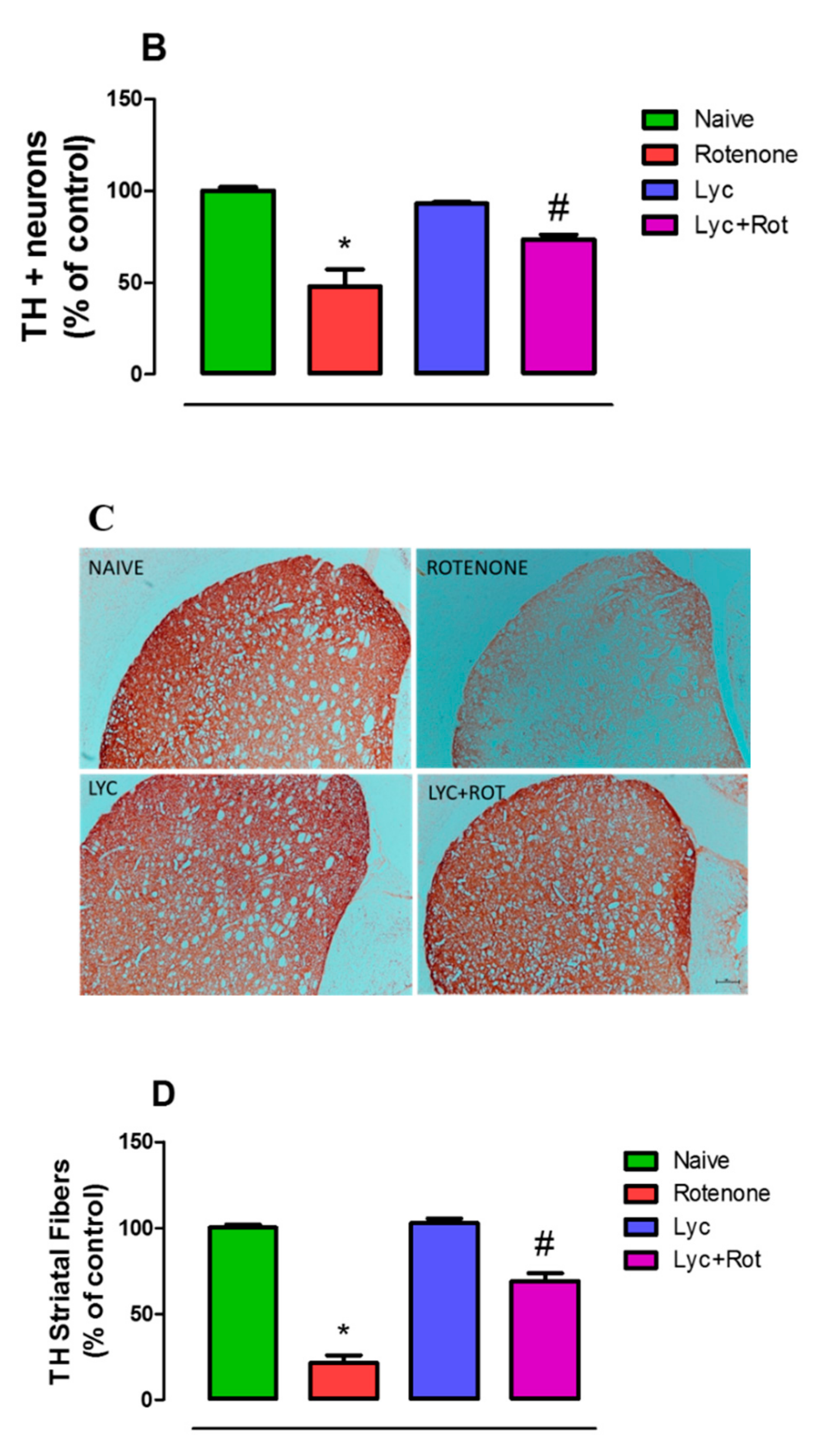 Molecules 24 02182 g008b Molecules 24 02182 g008b