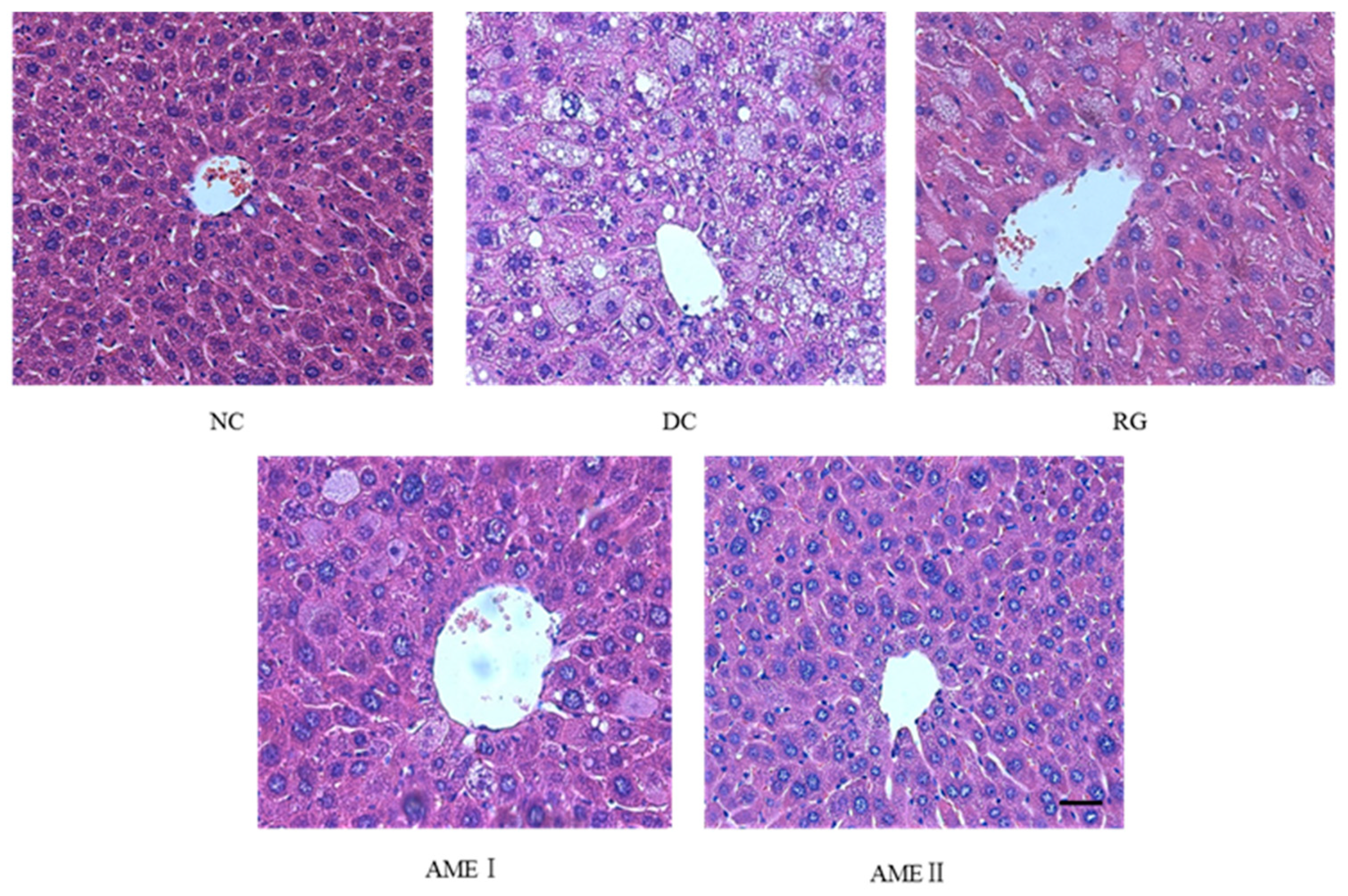 Molecules 24 02184 g001