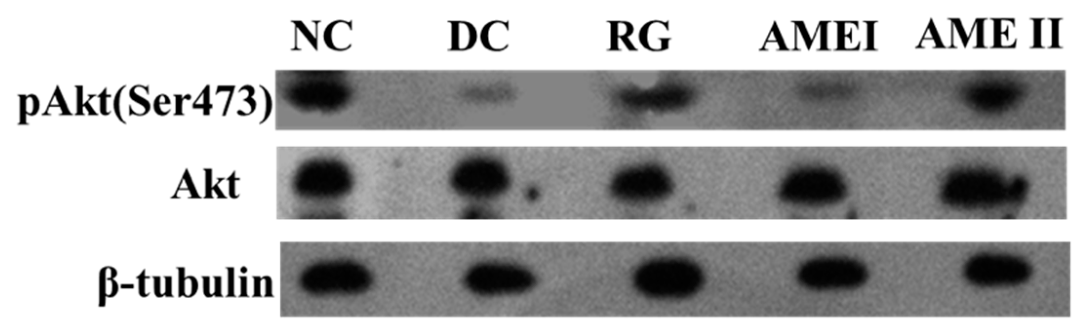 Molecules 24 02184 g003