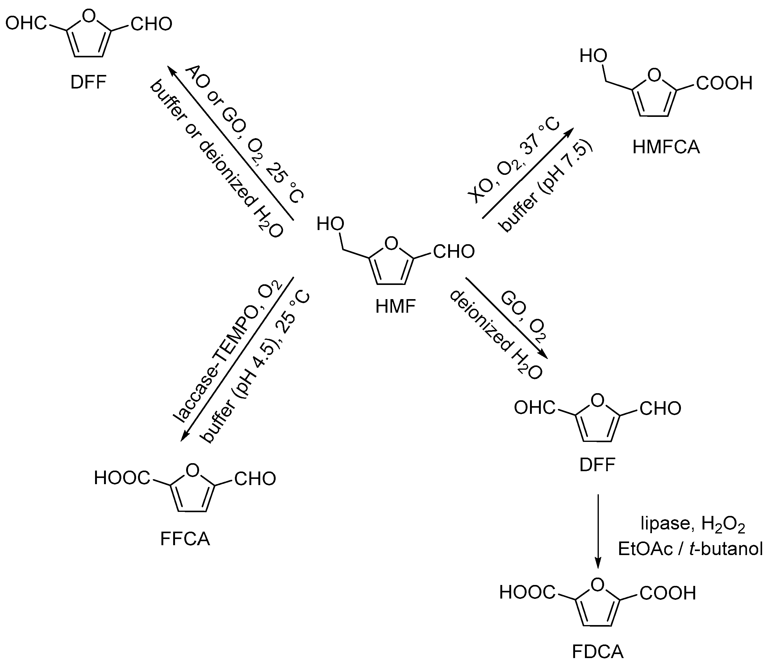 Molecules 24 02190 sch001