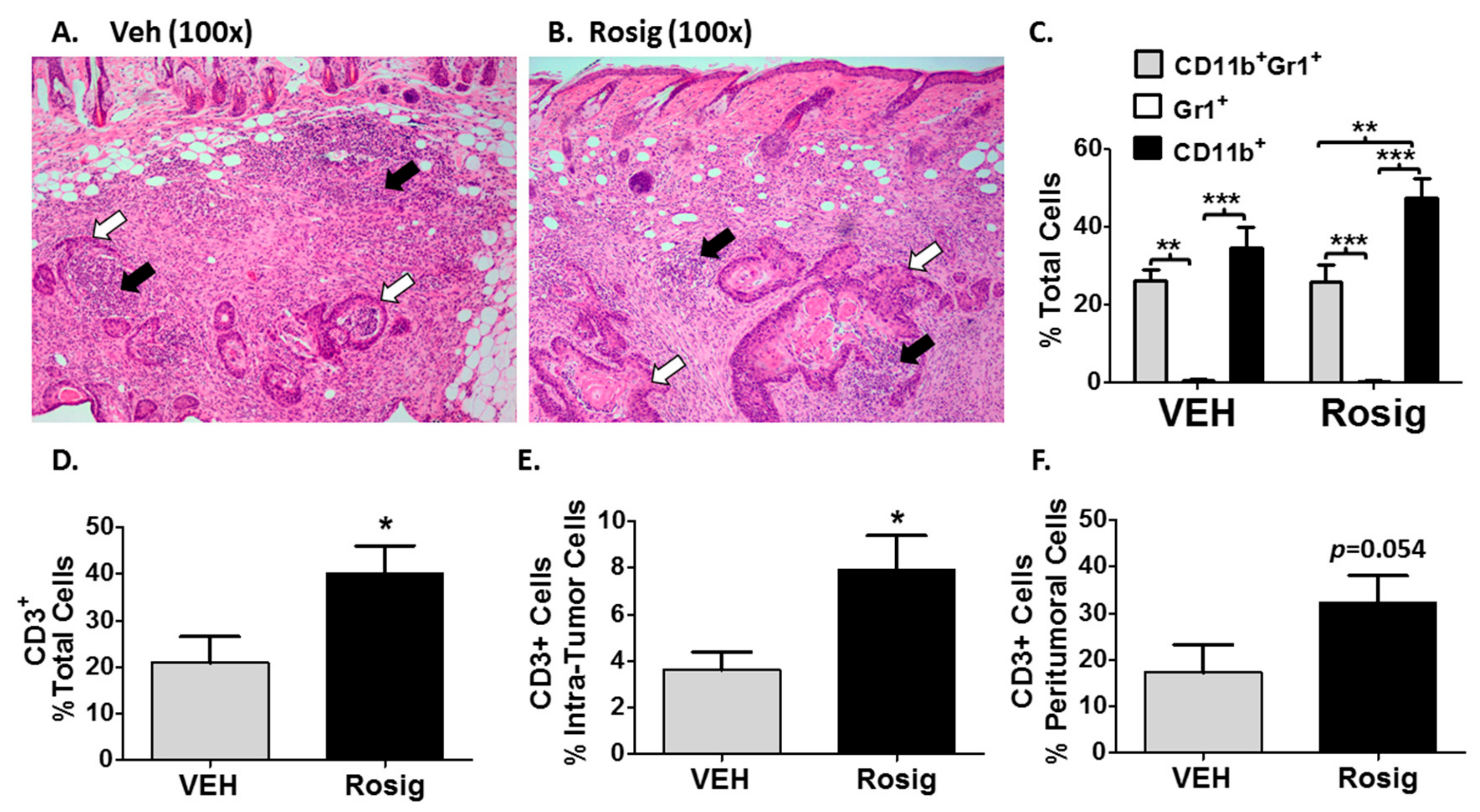 Molecules 24 02192 g003