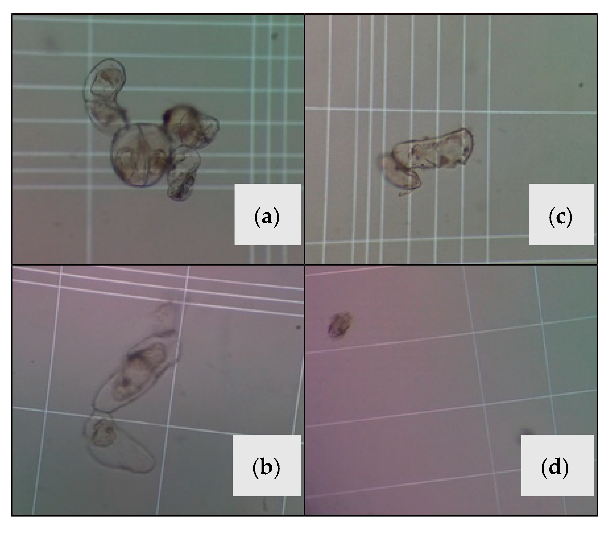 Molecules 24 02196 g003
