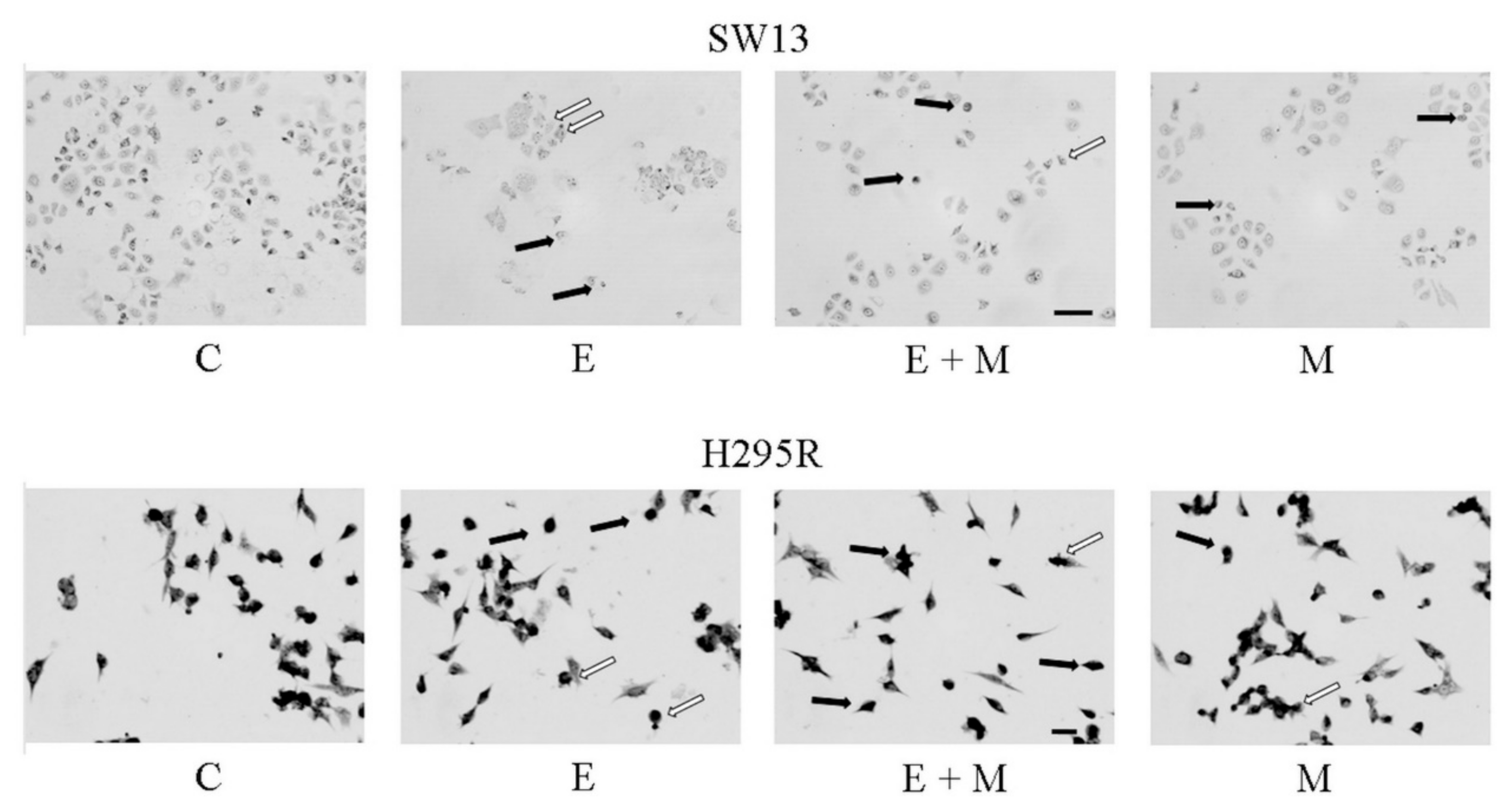 Molecules 24 02202 g005 Molecules 24 02202 g005