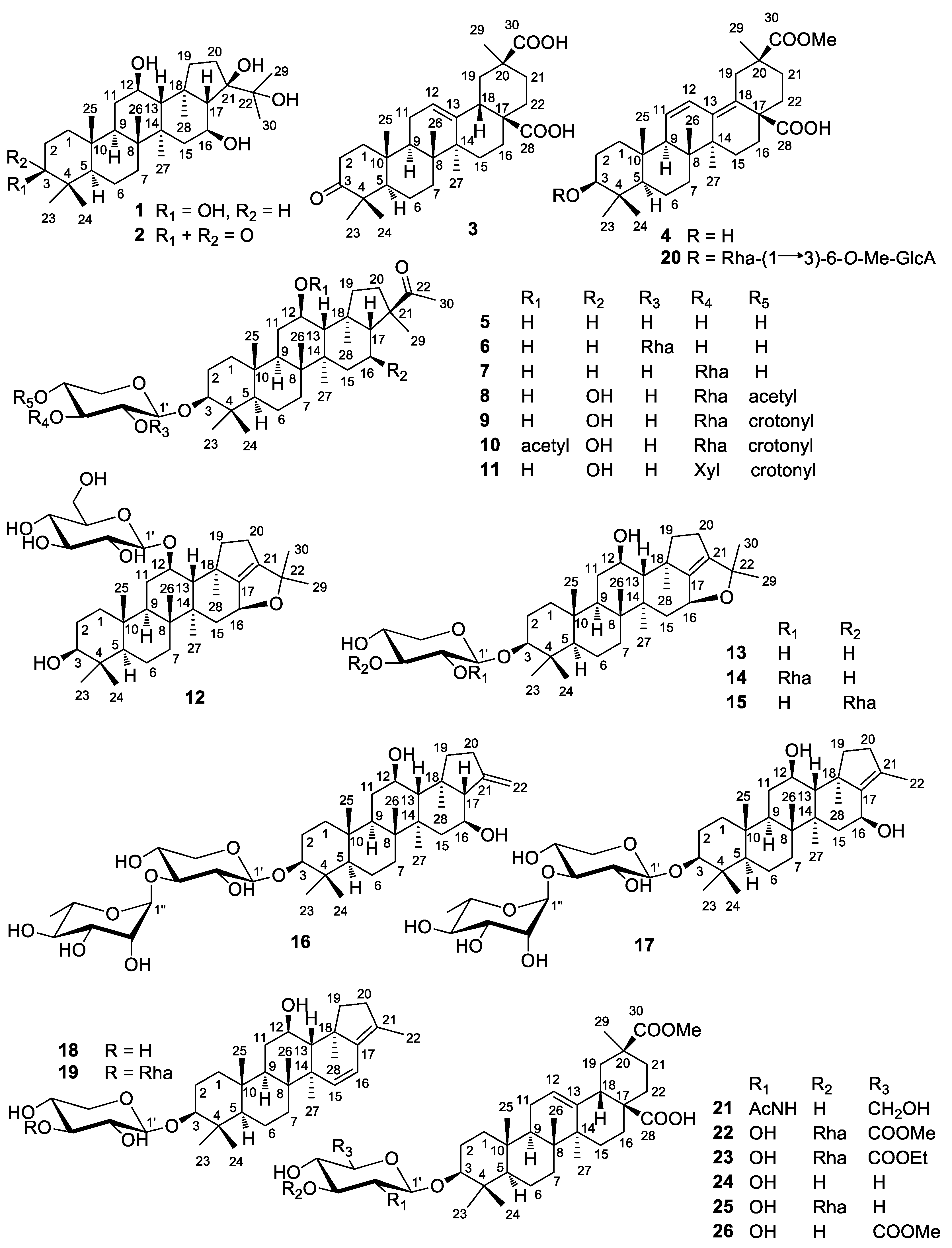 Molecules Free Full Text Triterpenoids And Their Glycosides From Glinus Oppositifolius With Antifungal Activities Against Microsporum Gypseum And Trichophyton Rubrum