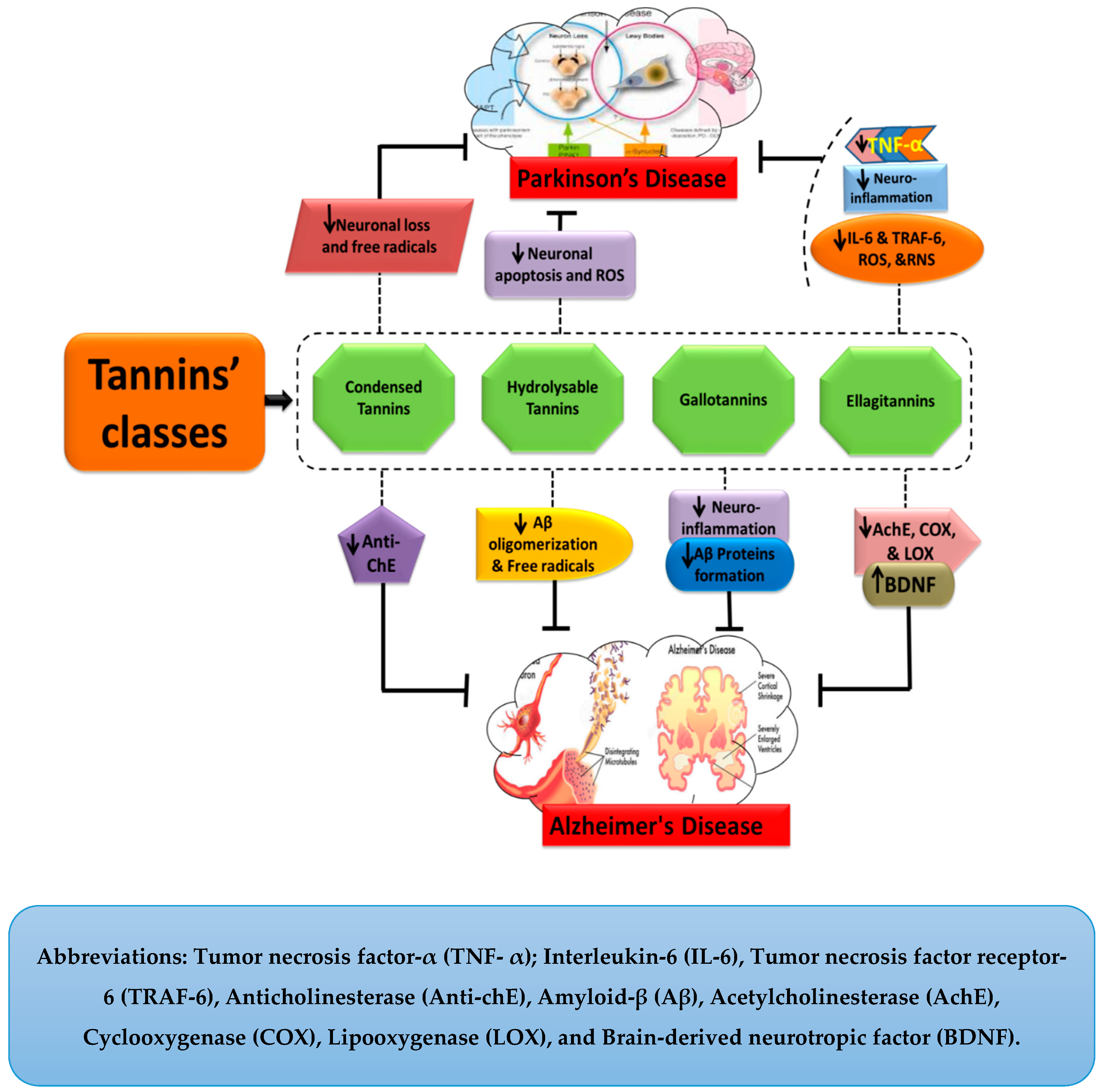 Molecules 24 02213 g004