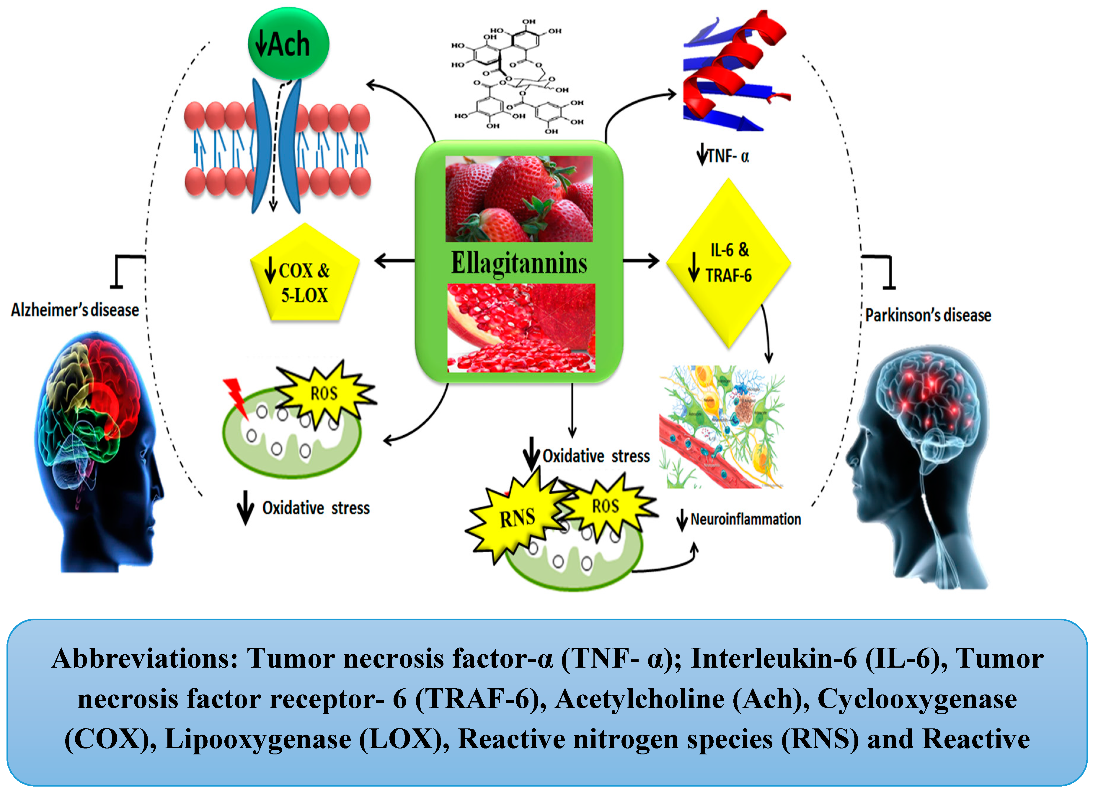 Molecules 24 02213 g006