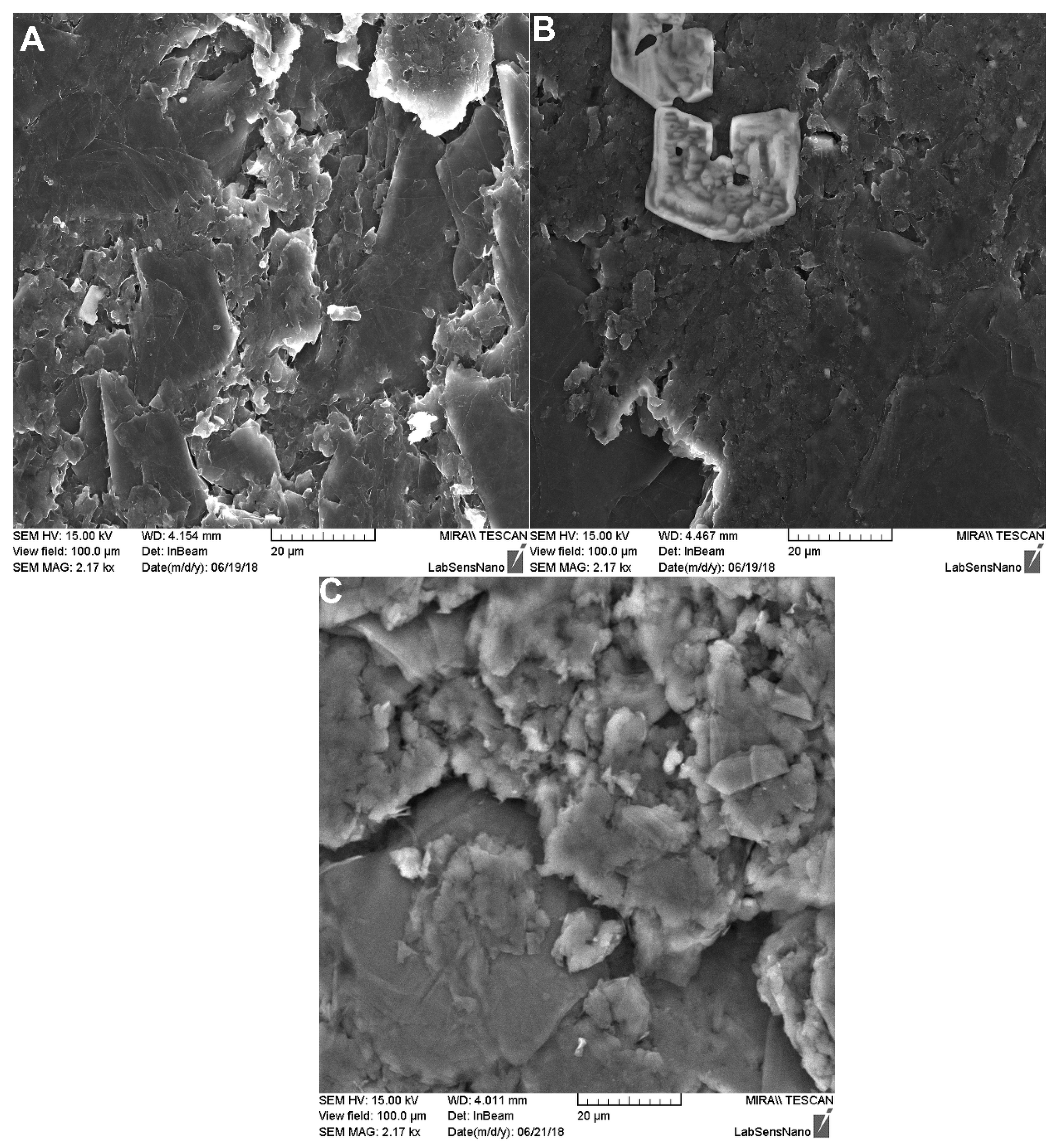 Molecules 24 02215 g002 Molecules 24 02215 g002