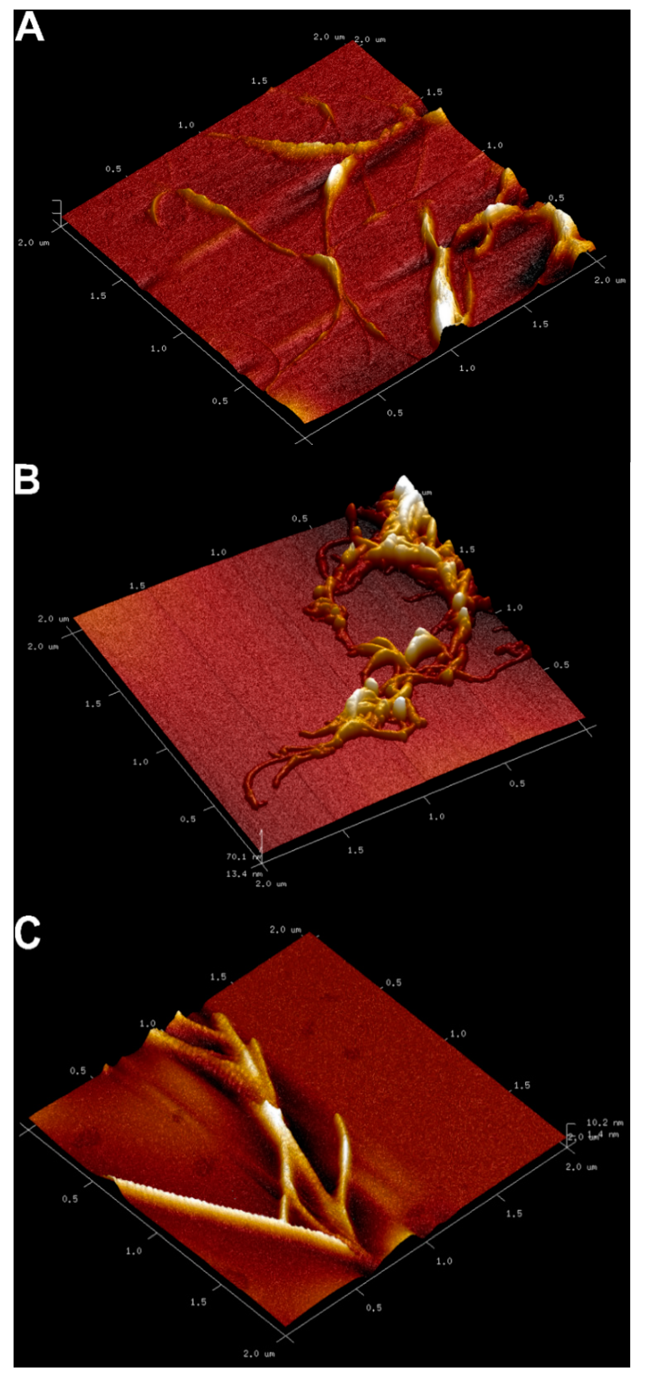 Molecules 24 02215 g003 Molecules 24 02215 g003