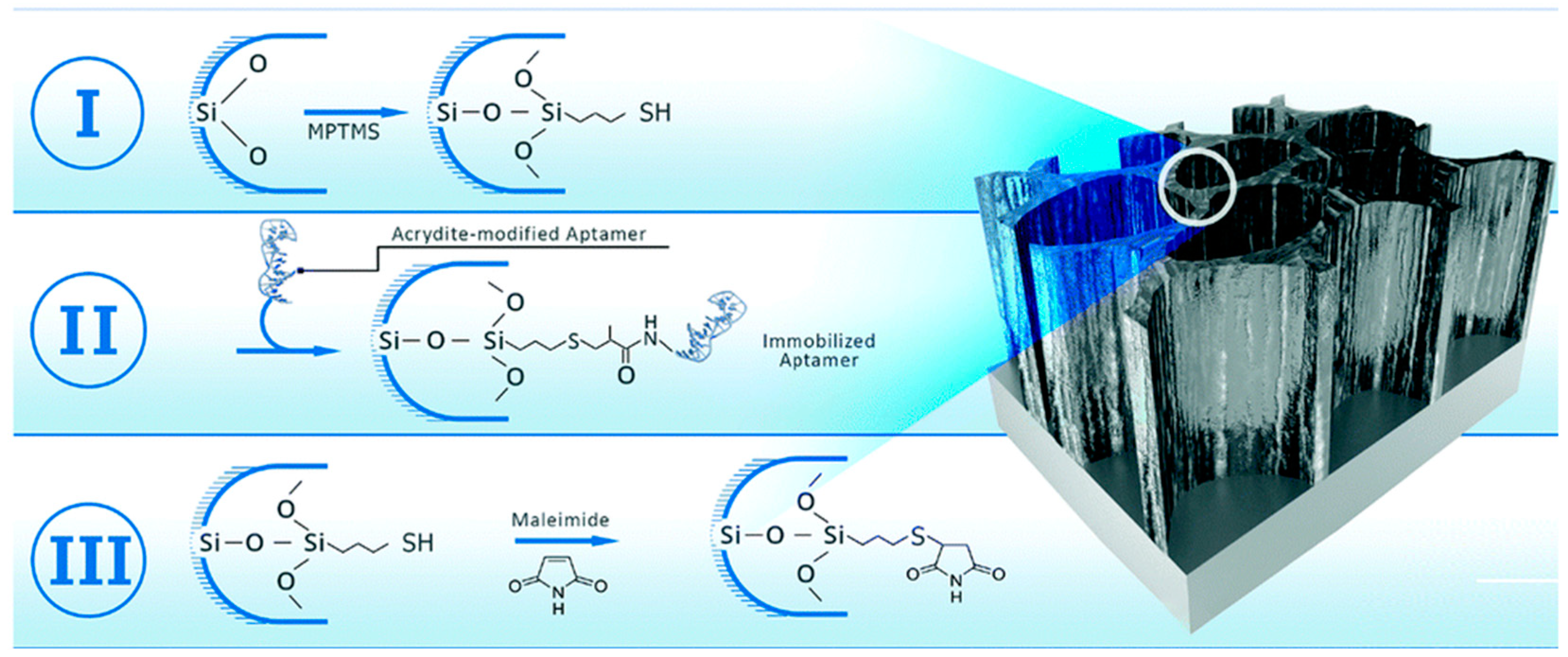 Molecules 24 02216 g001 Molecules 24 02216 g001