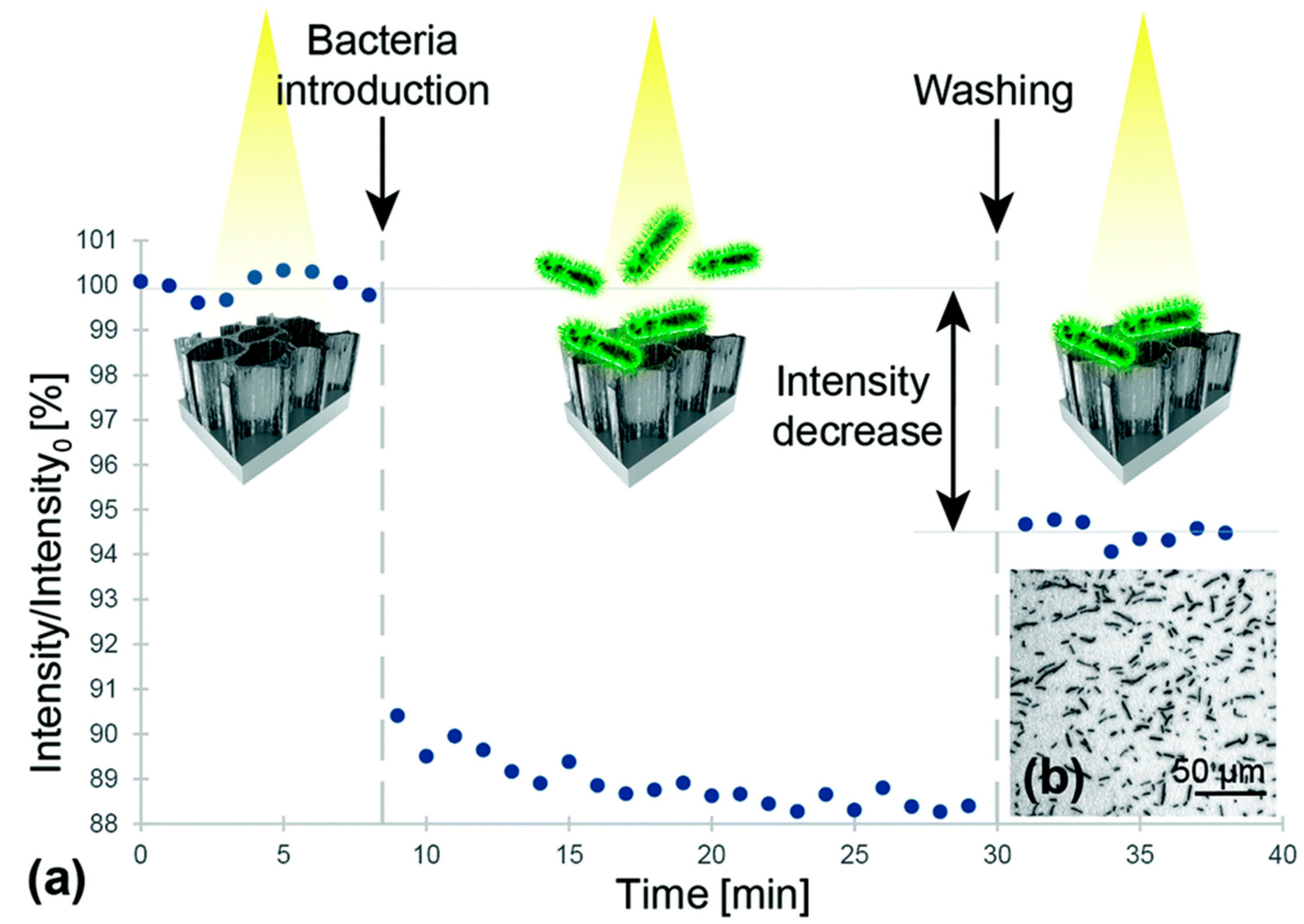 Molecules 24 02216 g002 Molecules 24 02216 g002