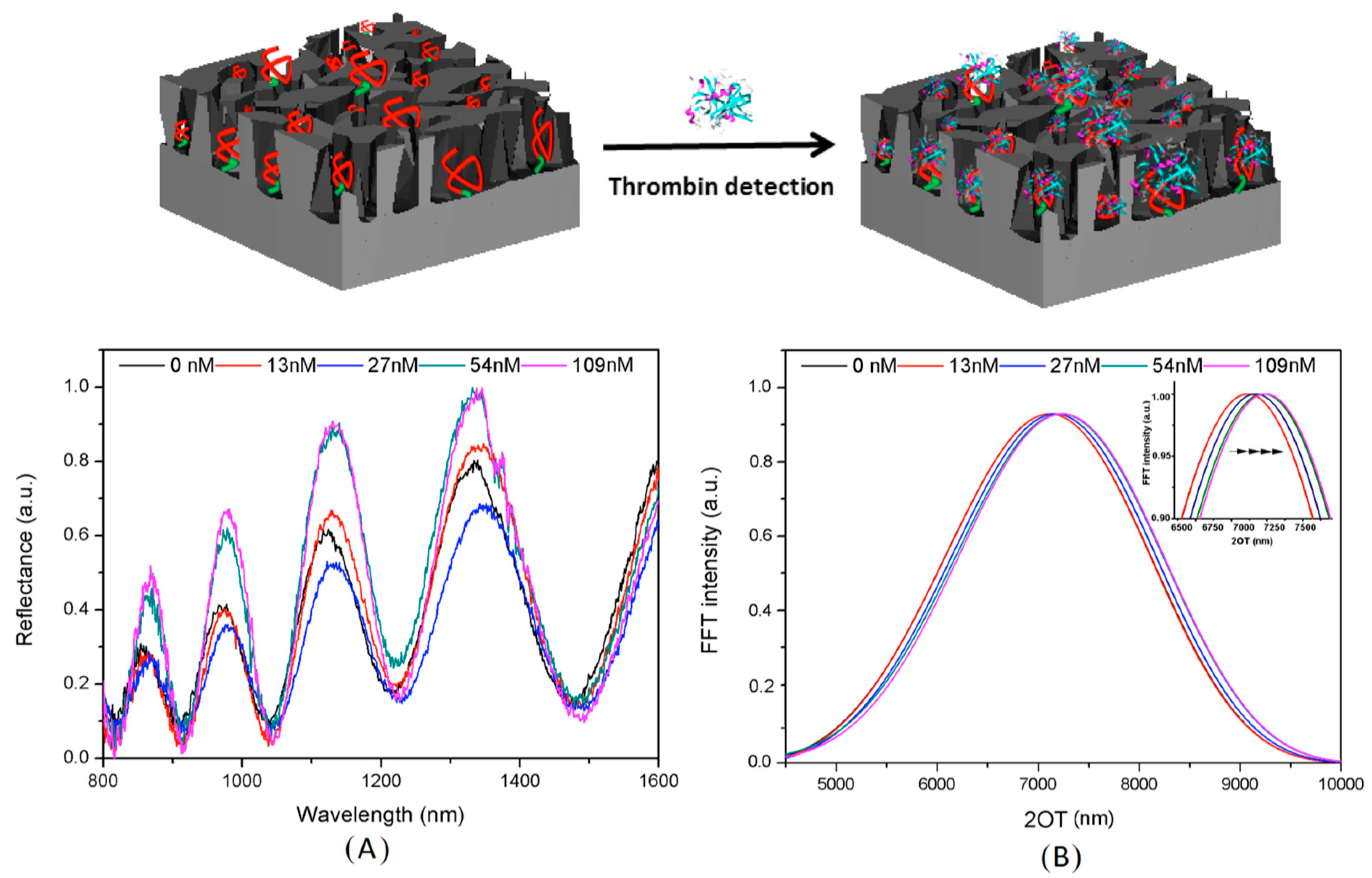 Molecules 24 02216 g006 Molecules 24 02216 g006