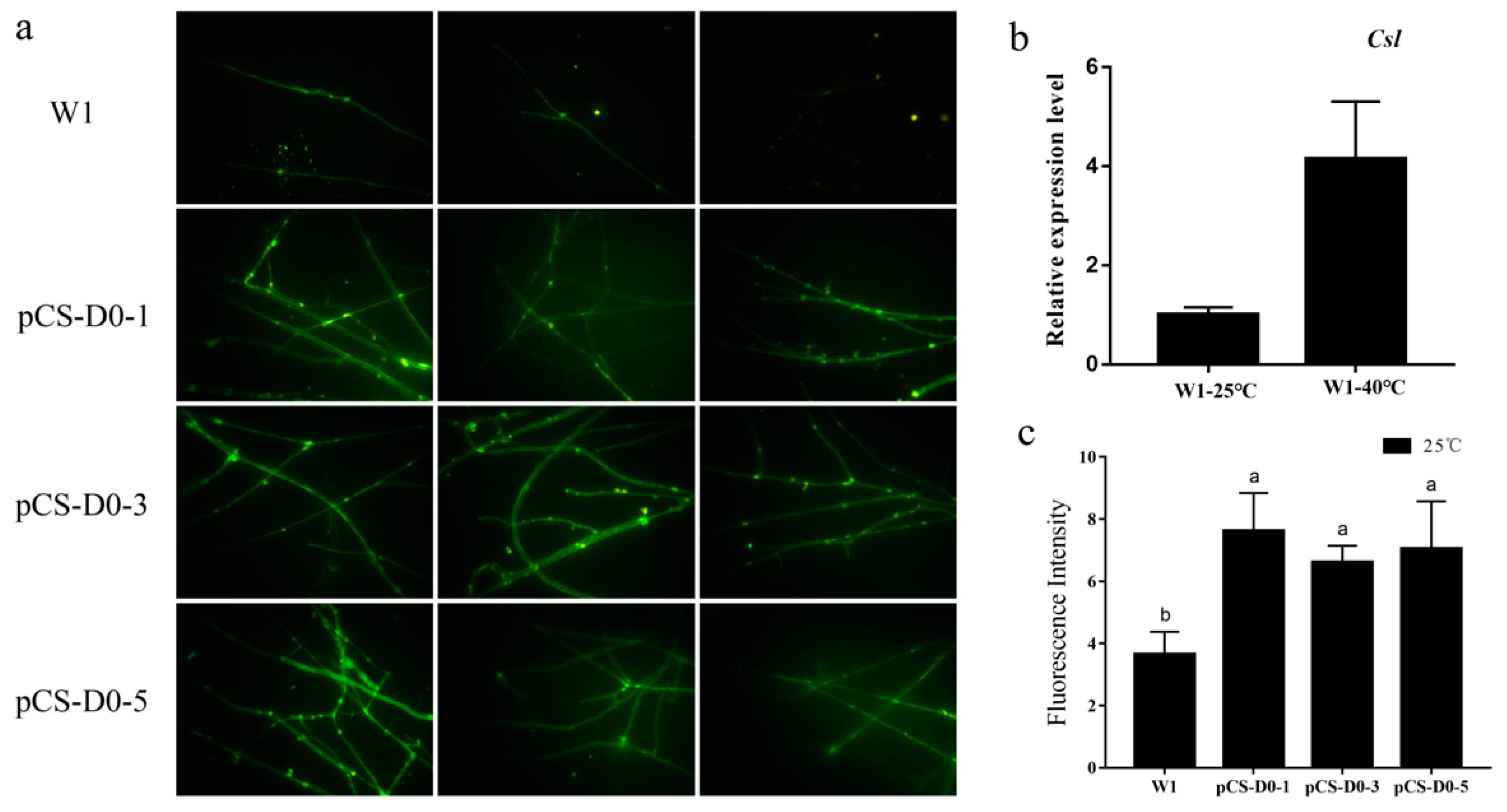 Molecules 24 02223 g001