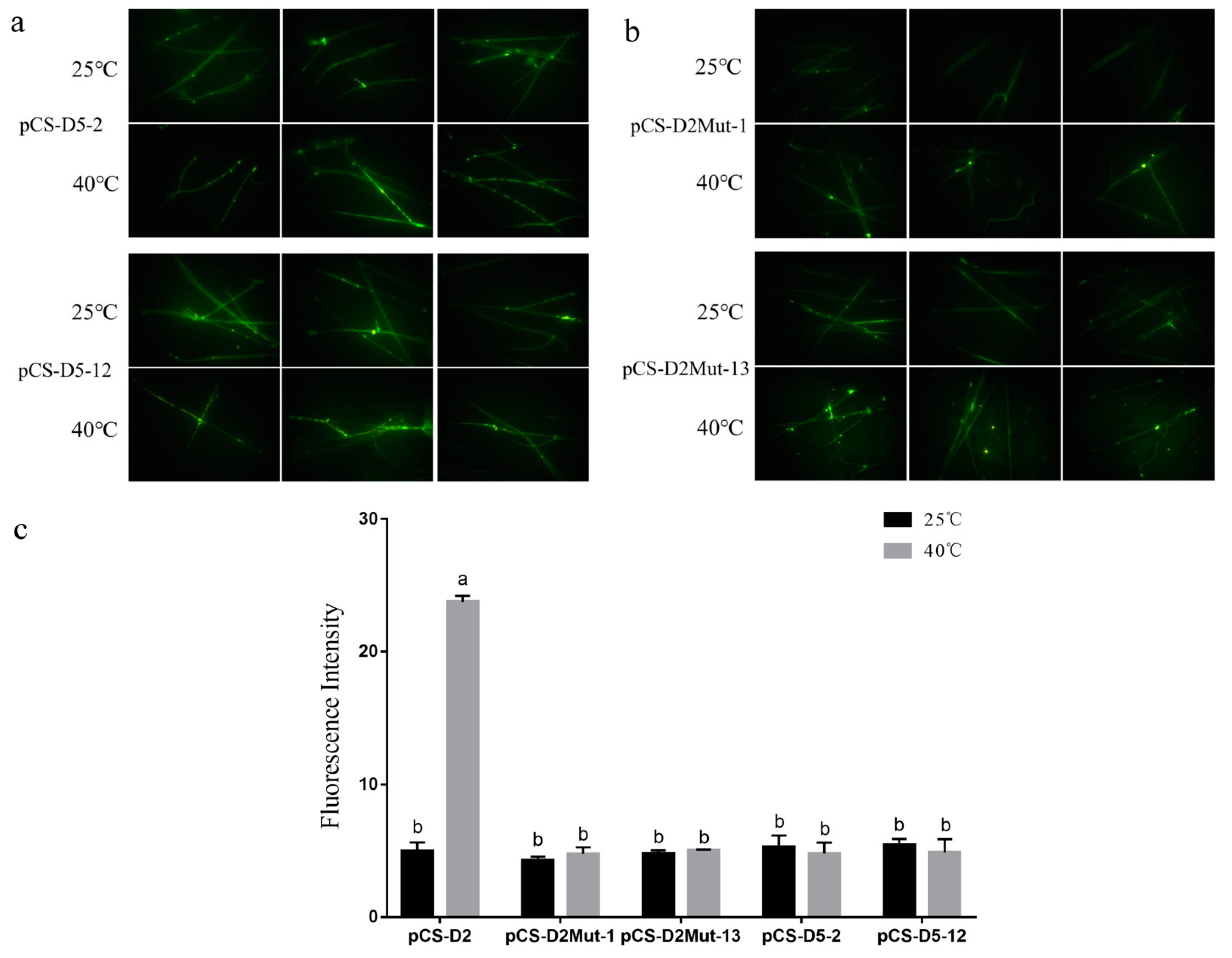 Molecules 24 02223 g003
