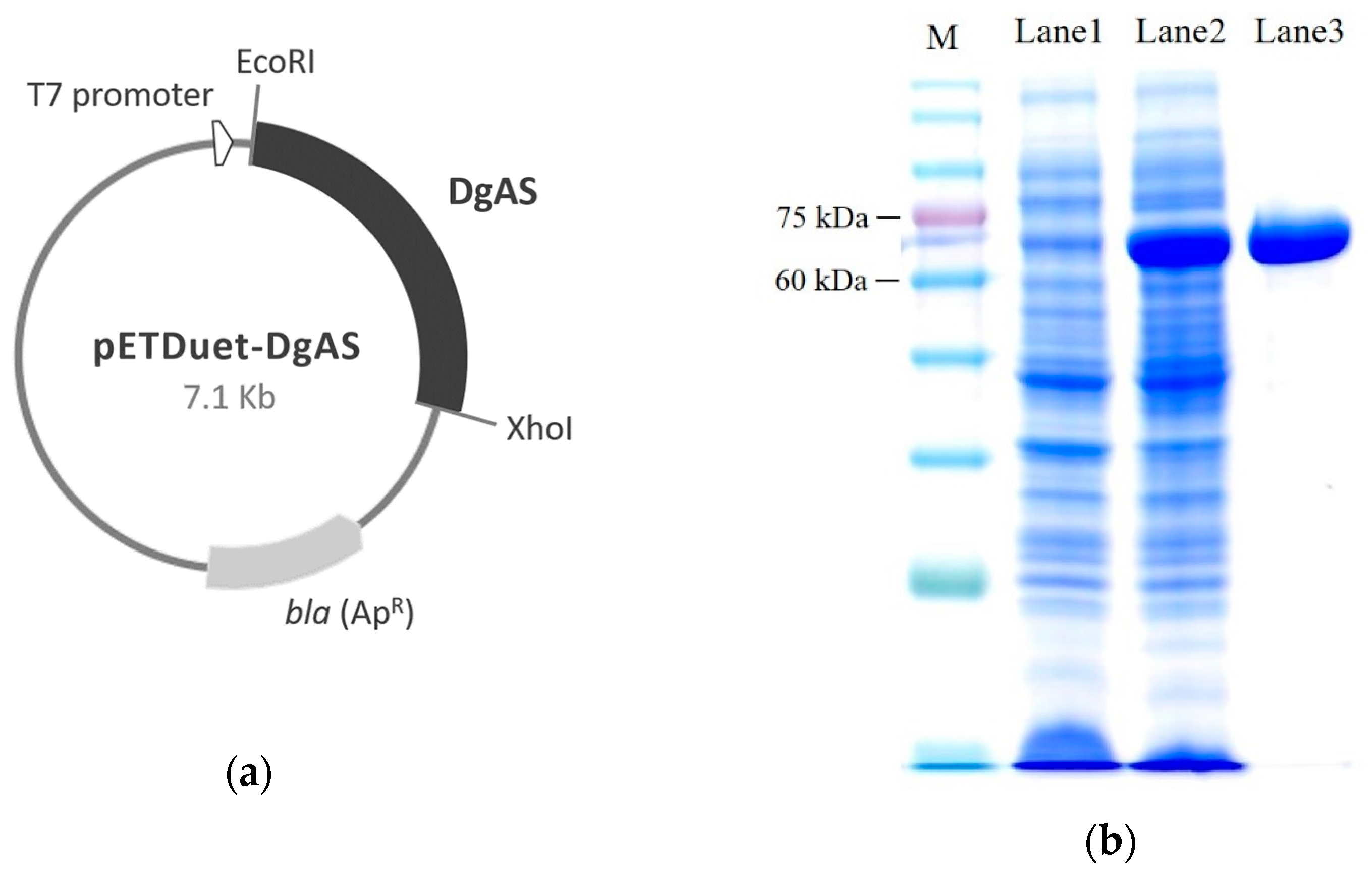 Molecules 24 02236 g001