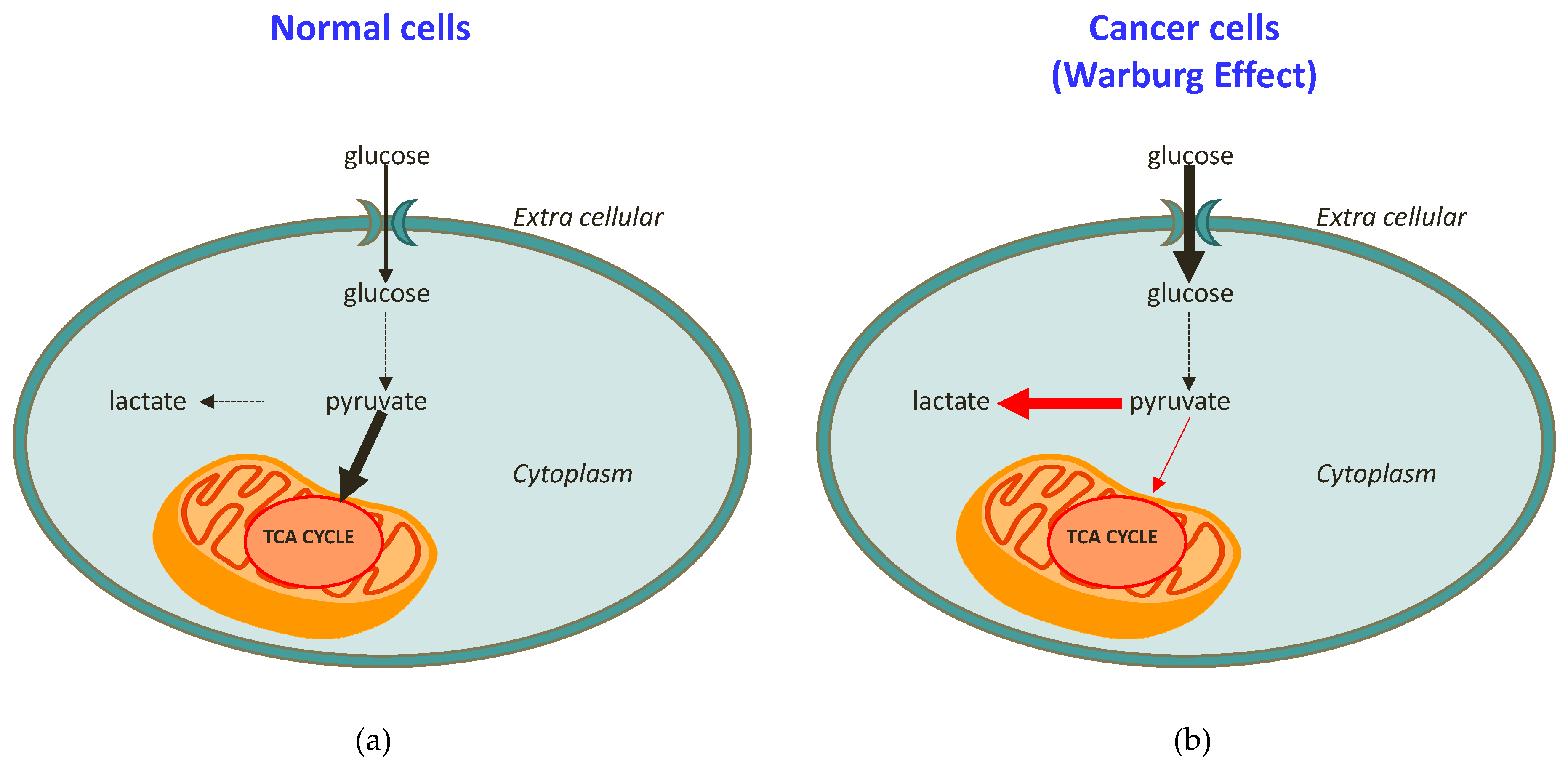 Molecules 24 02240 g001