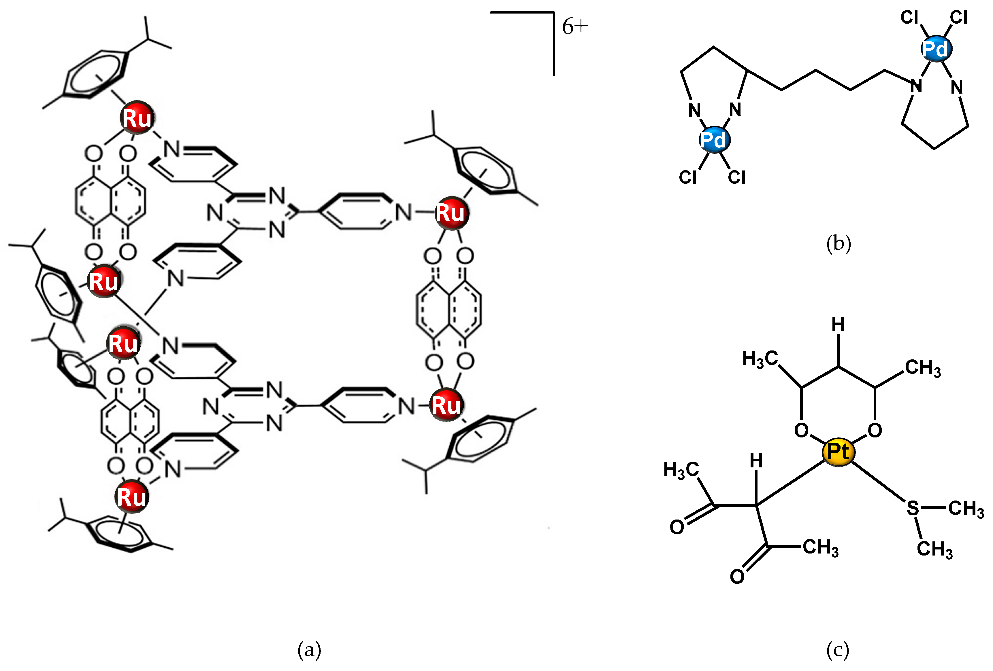 Molecules 24 02240 g004