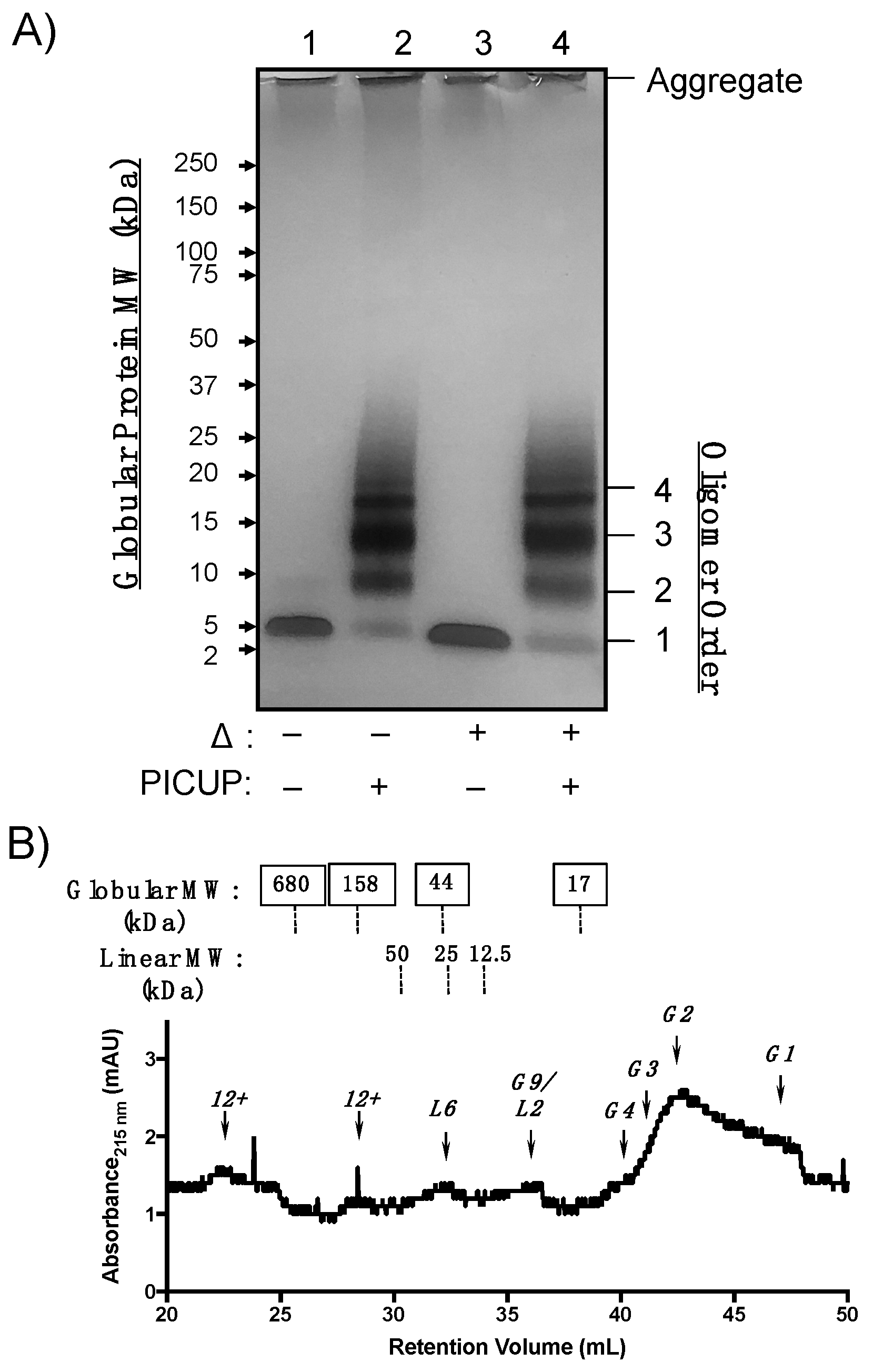 Molecules 24 02242 g002