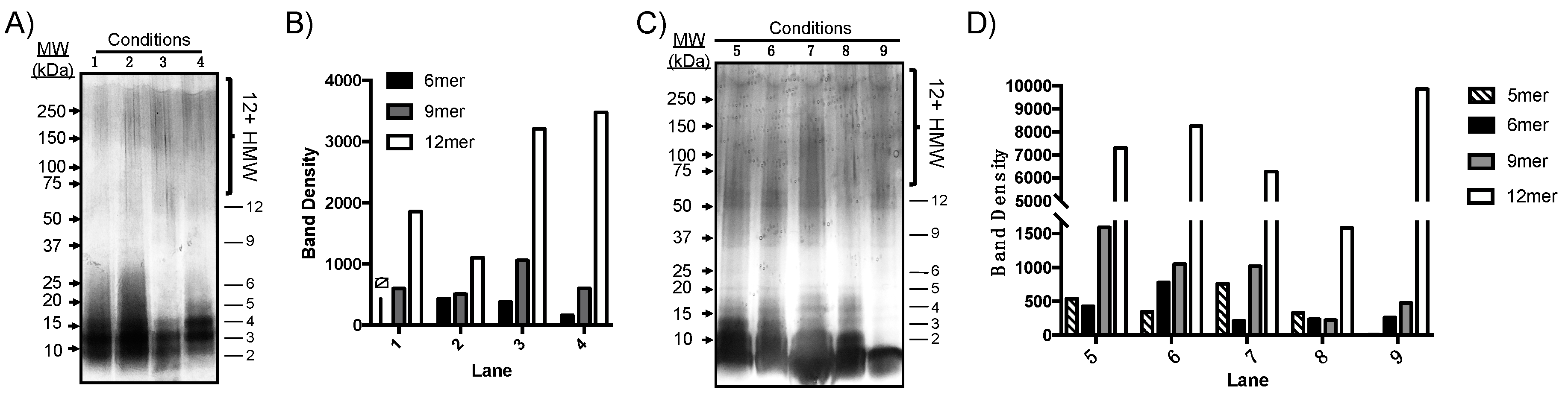 Molecules 24 02242 g004