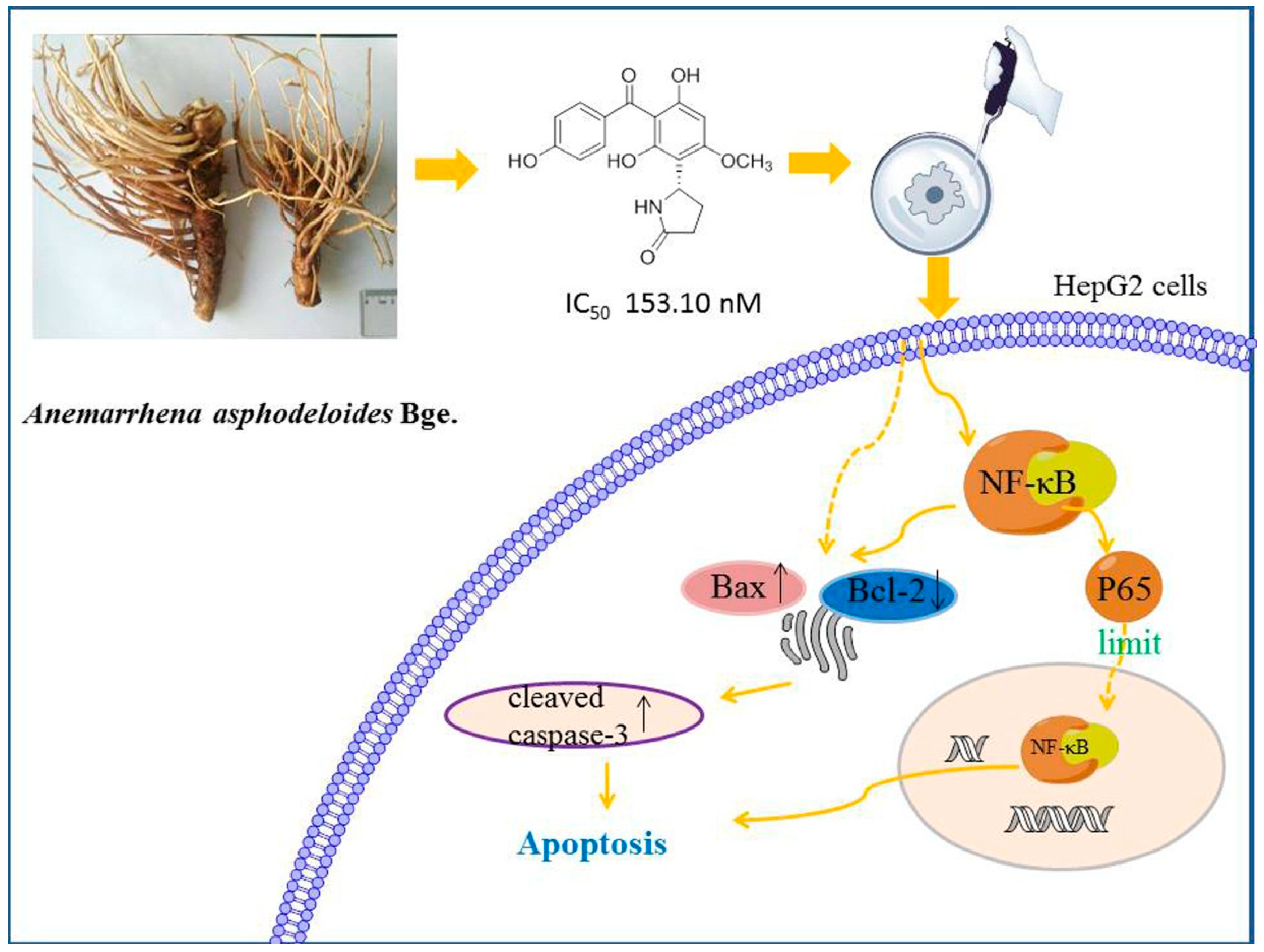 Molecules 24 02246 g006