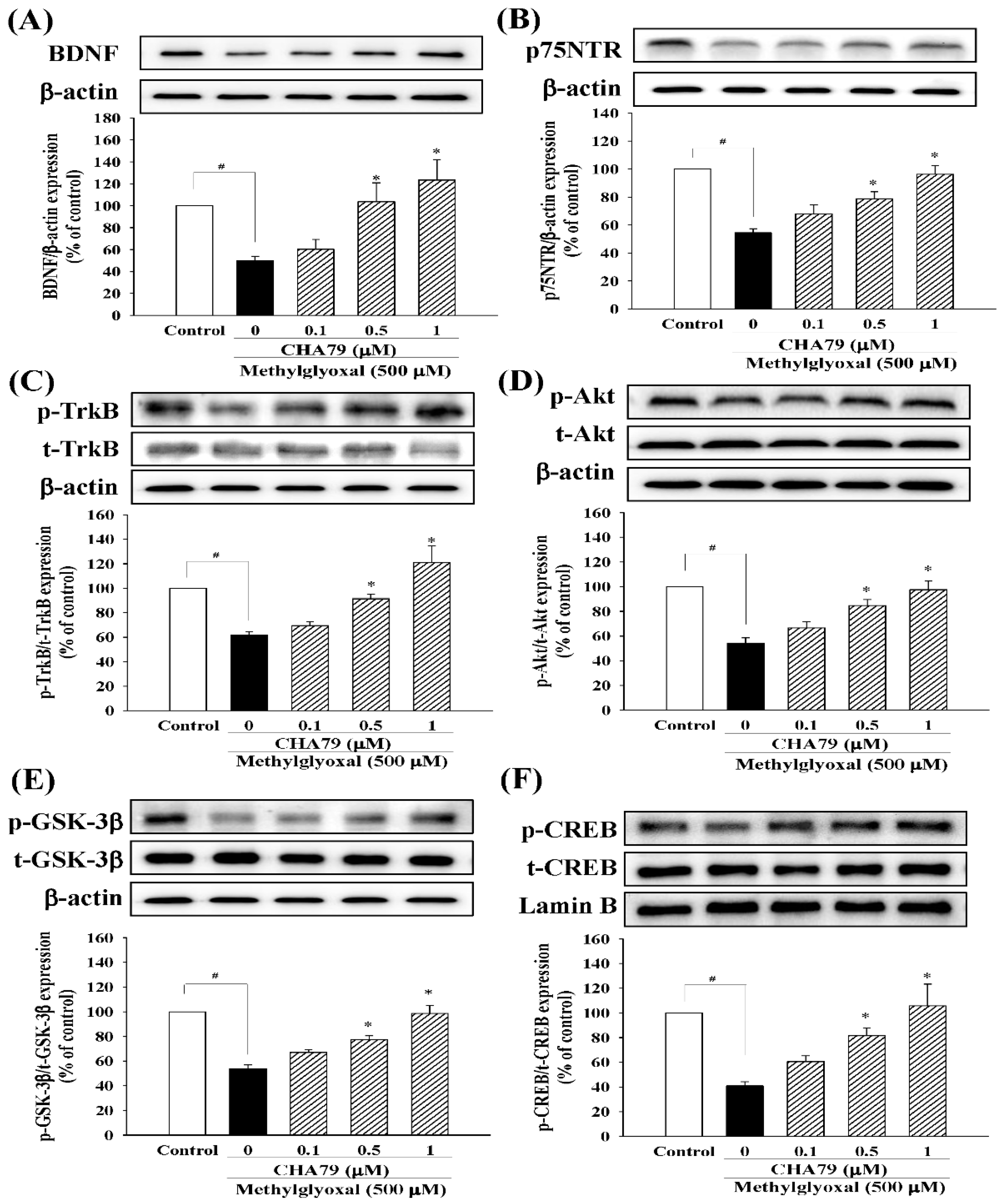 Molecules 24 02249 g005