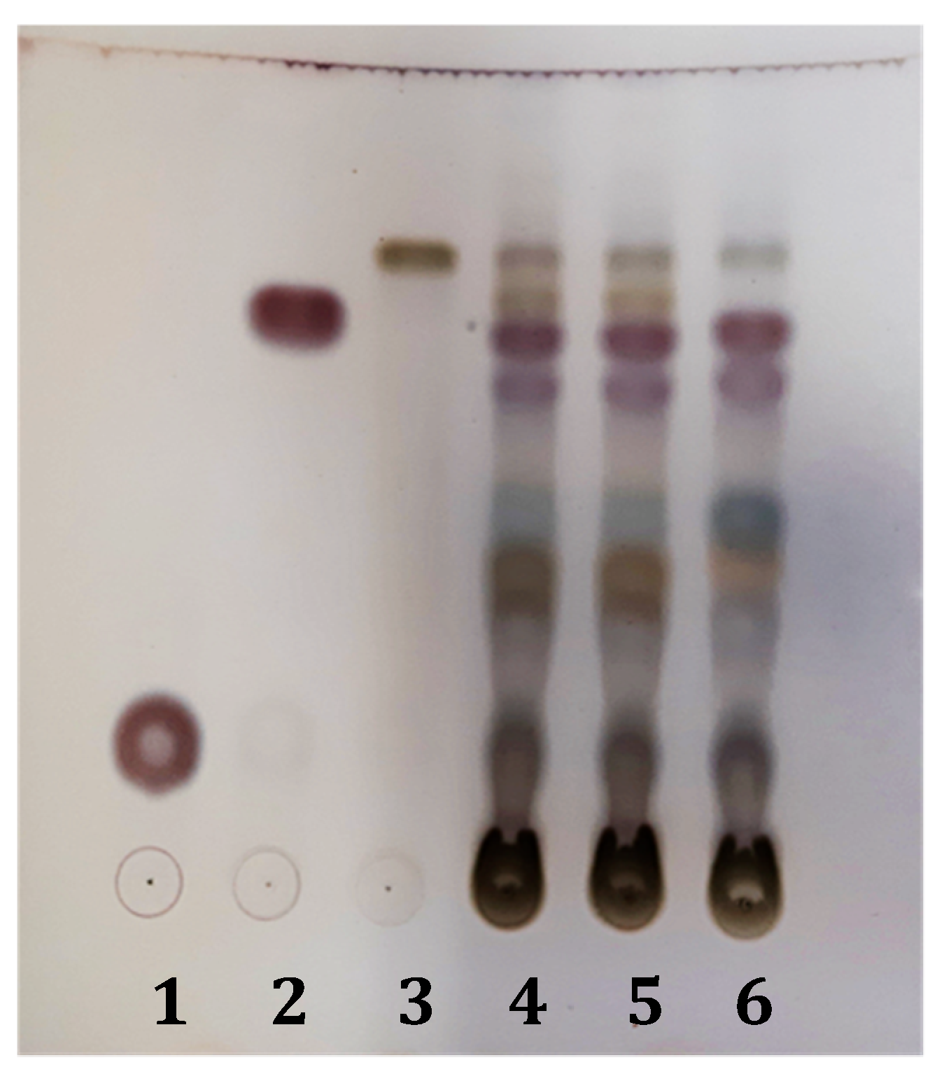 Molecules 24 02251 g001
