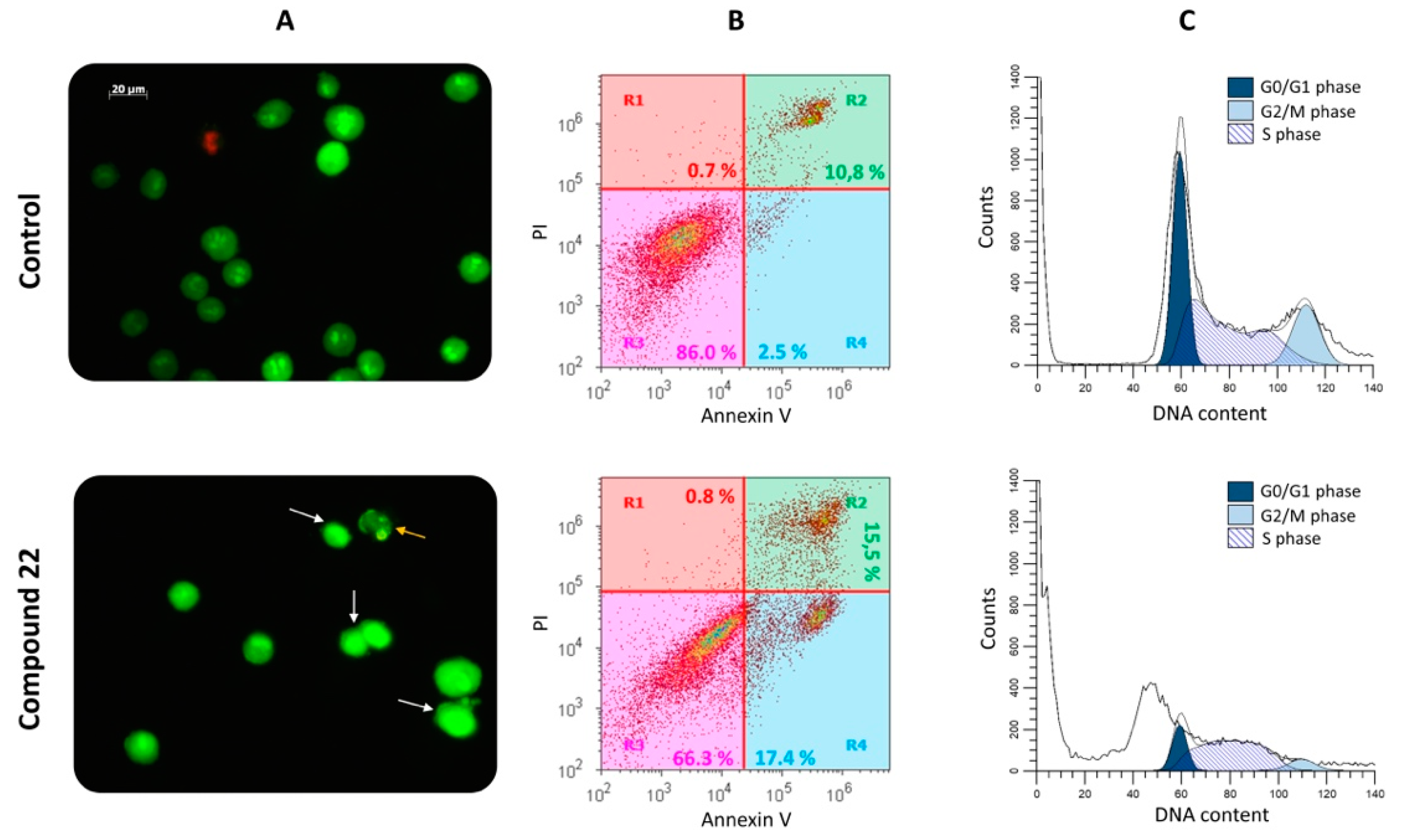 Molecules 24 02254 g004