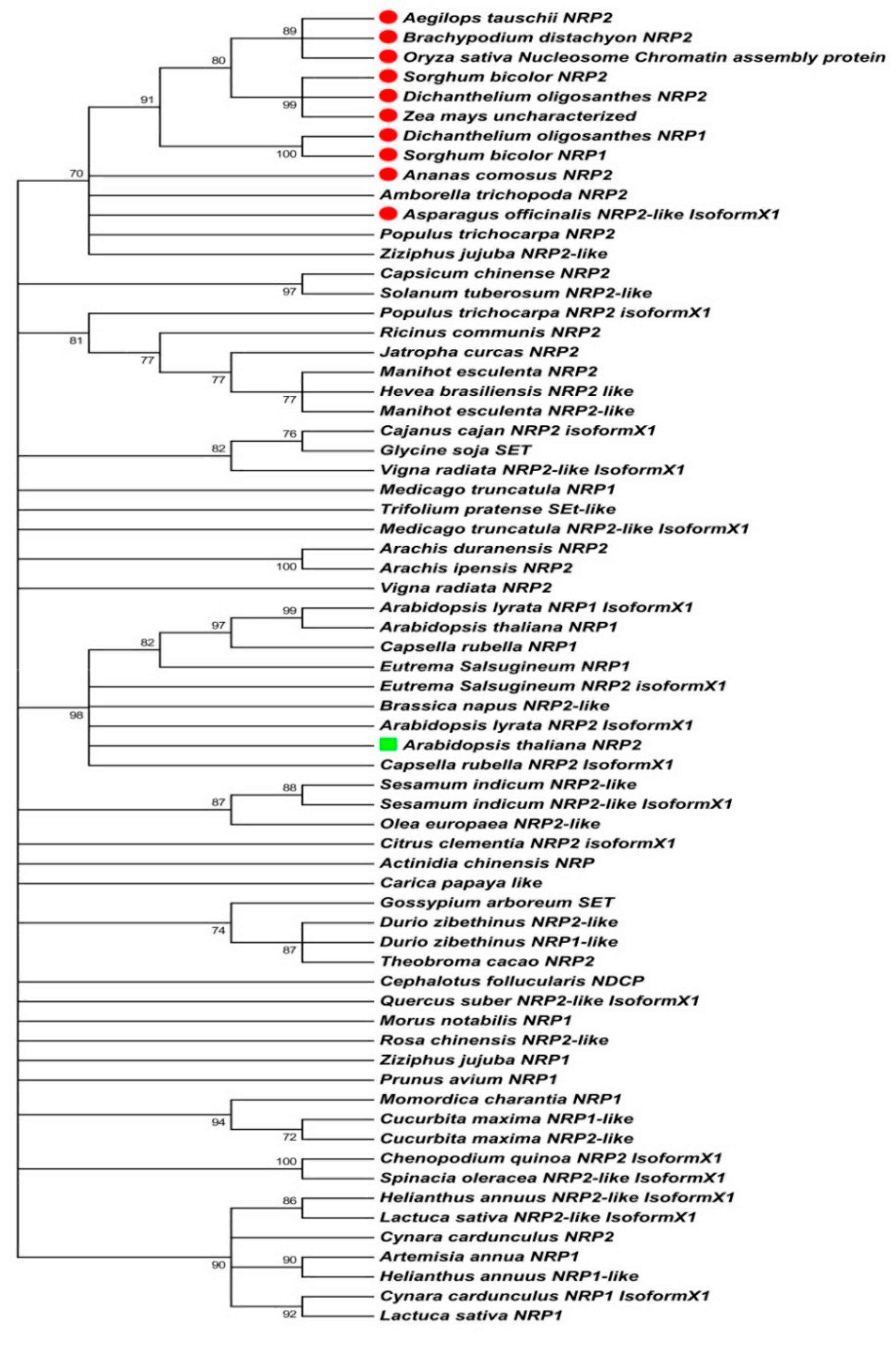 Molecules 24 02258 g001 Molecules 24 02258 g001